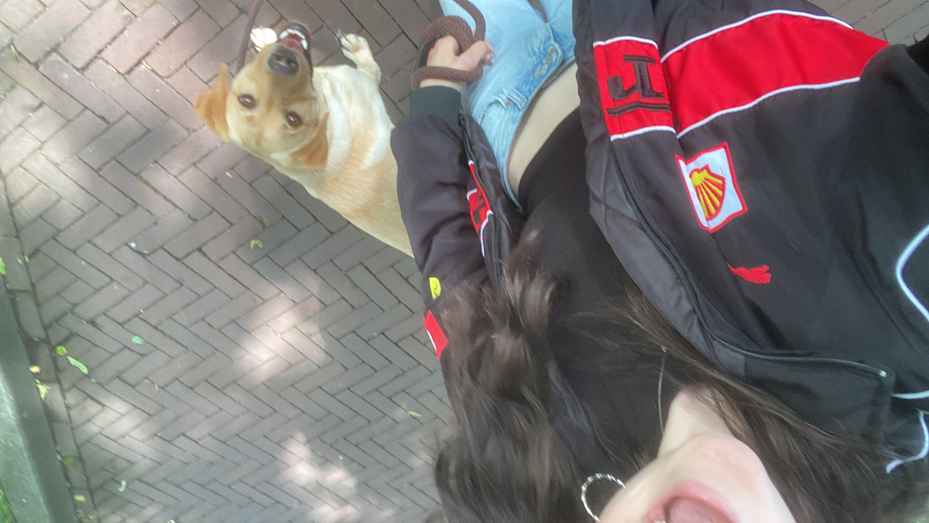 image-4