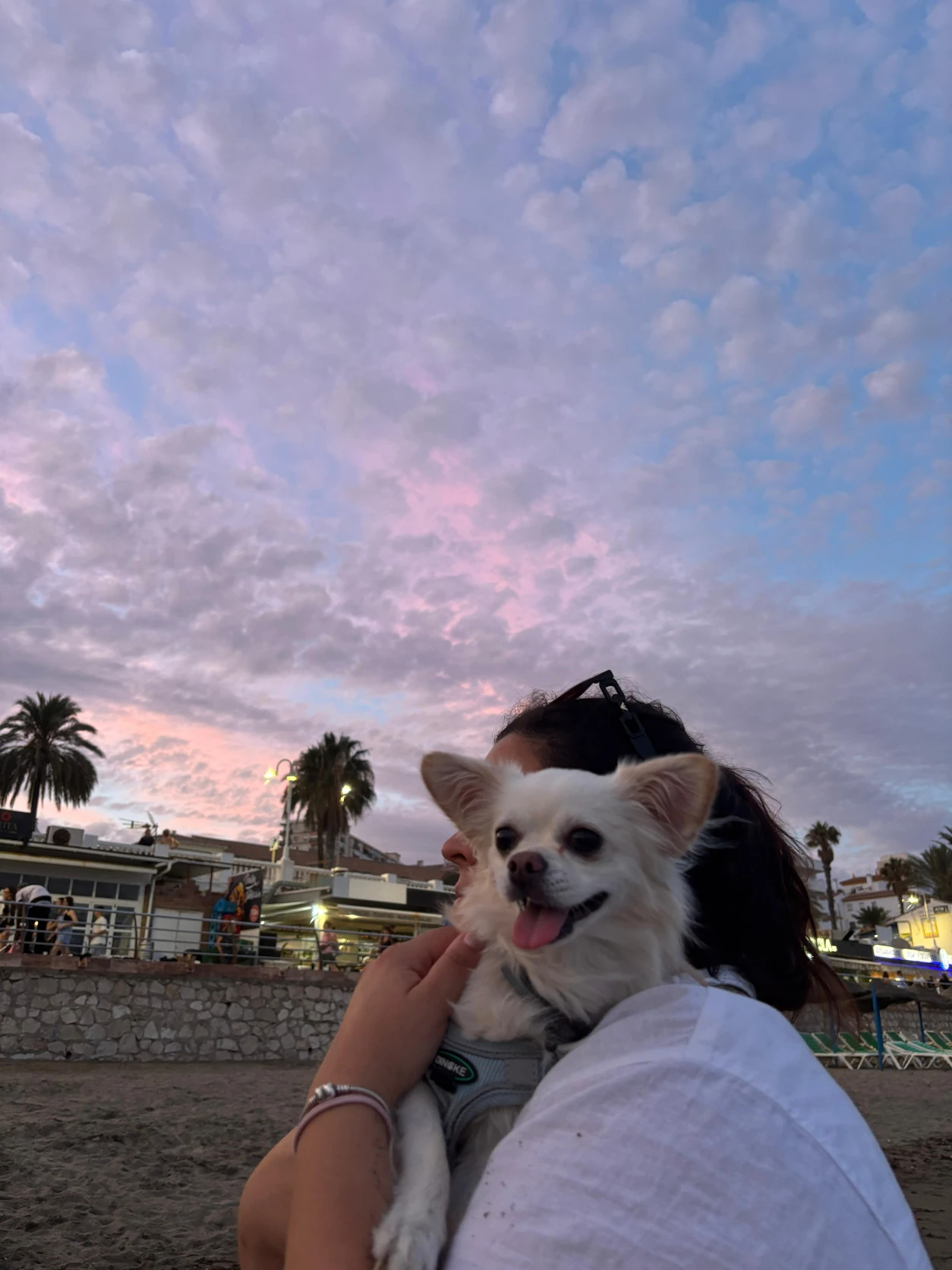 image-7