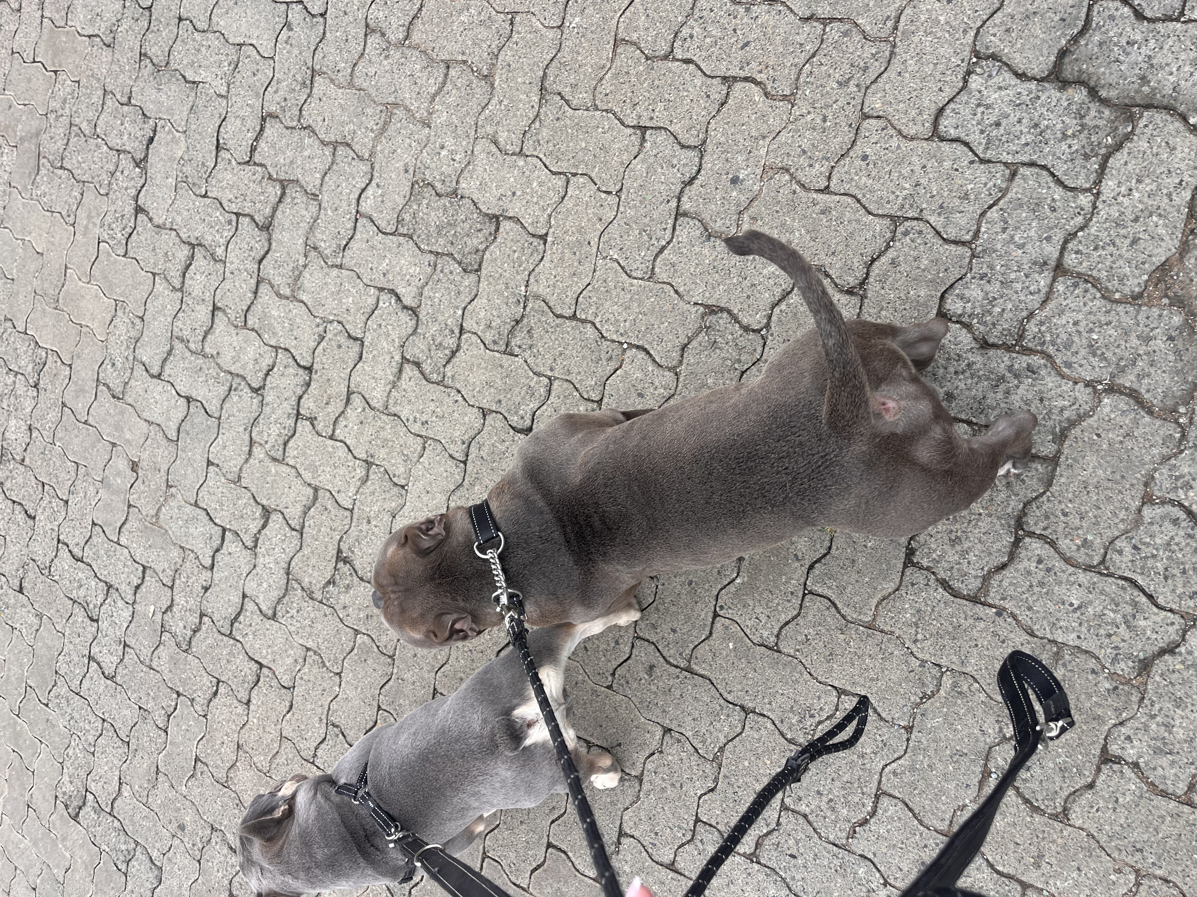 image-7