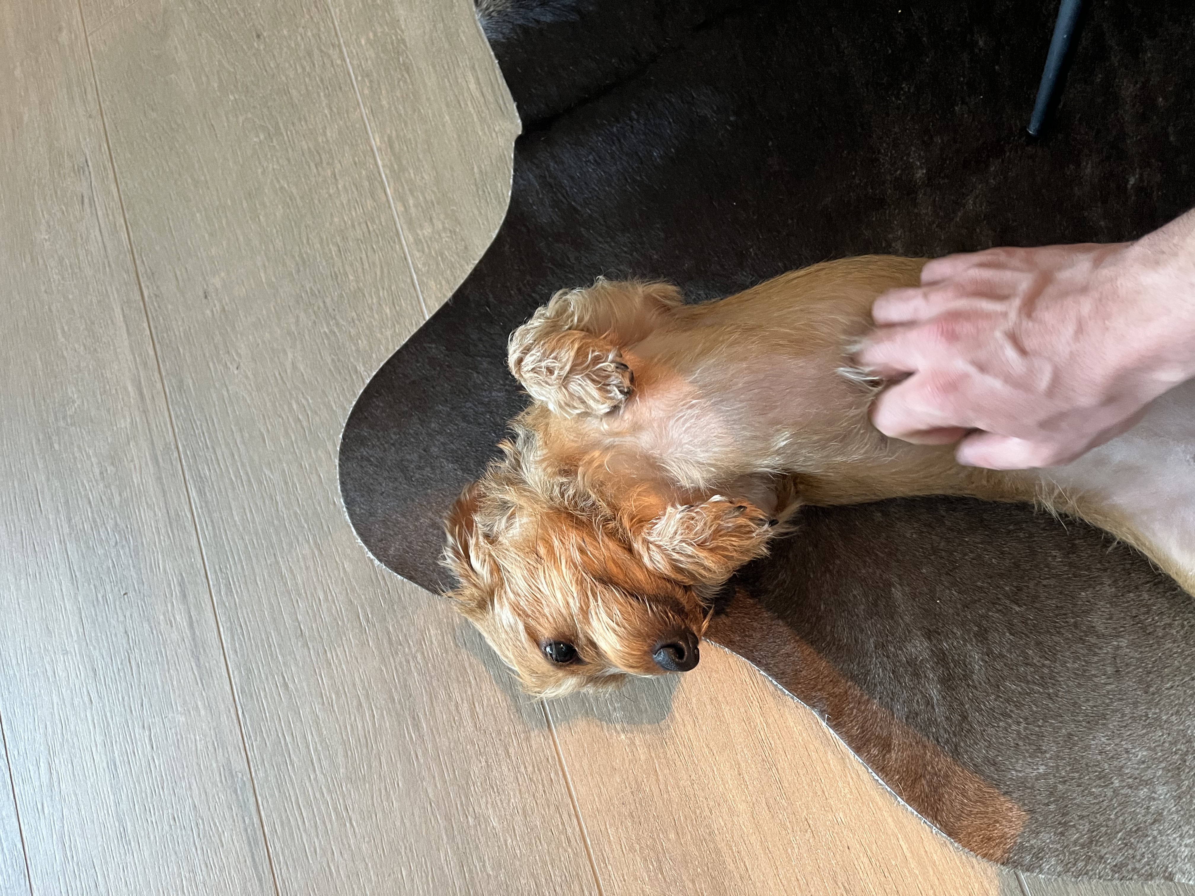 image-7