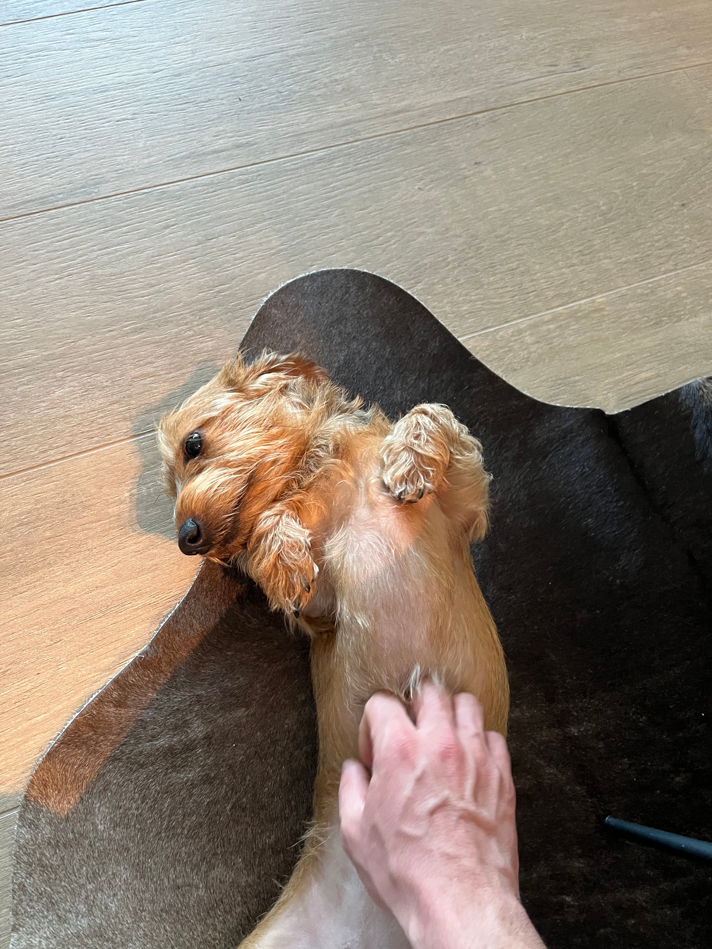 image-7