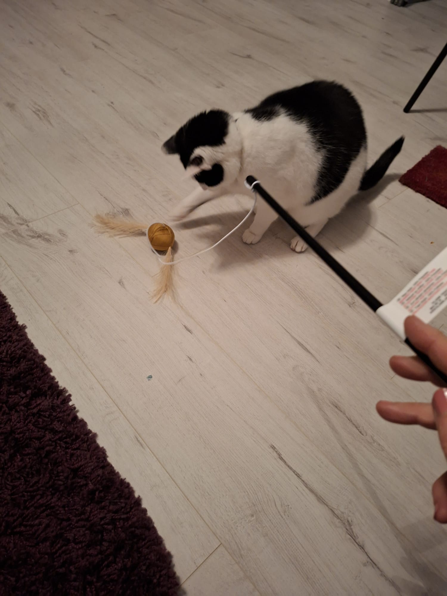 image-13
