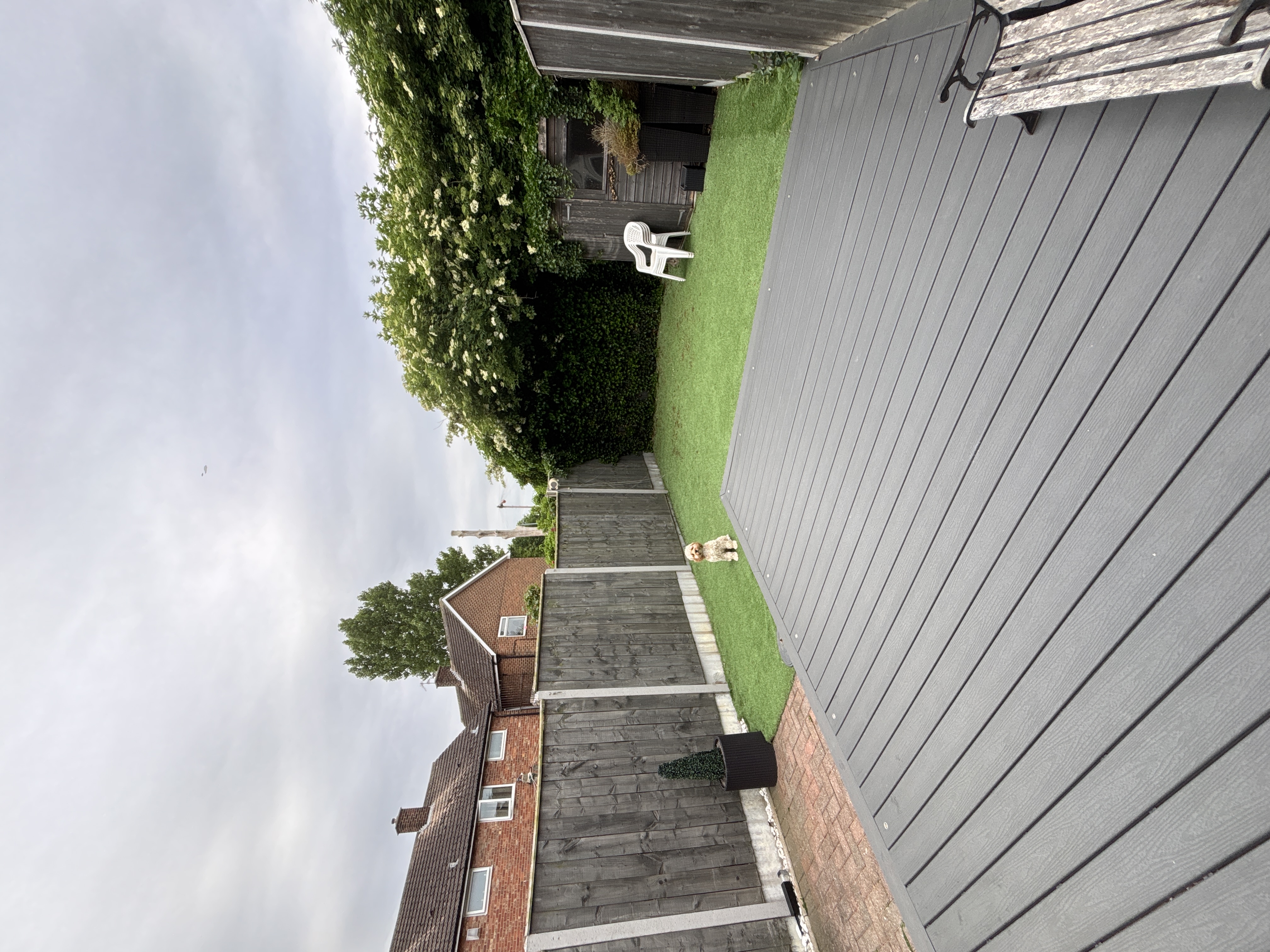 image-15