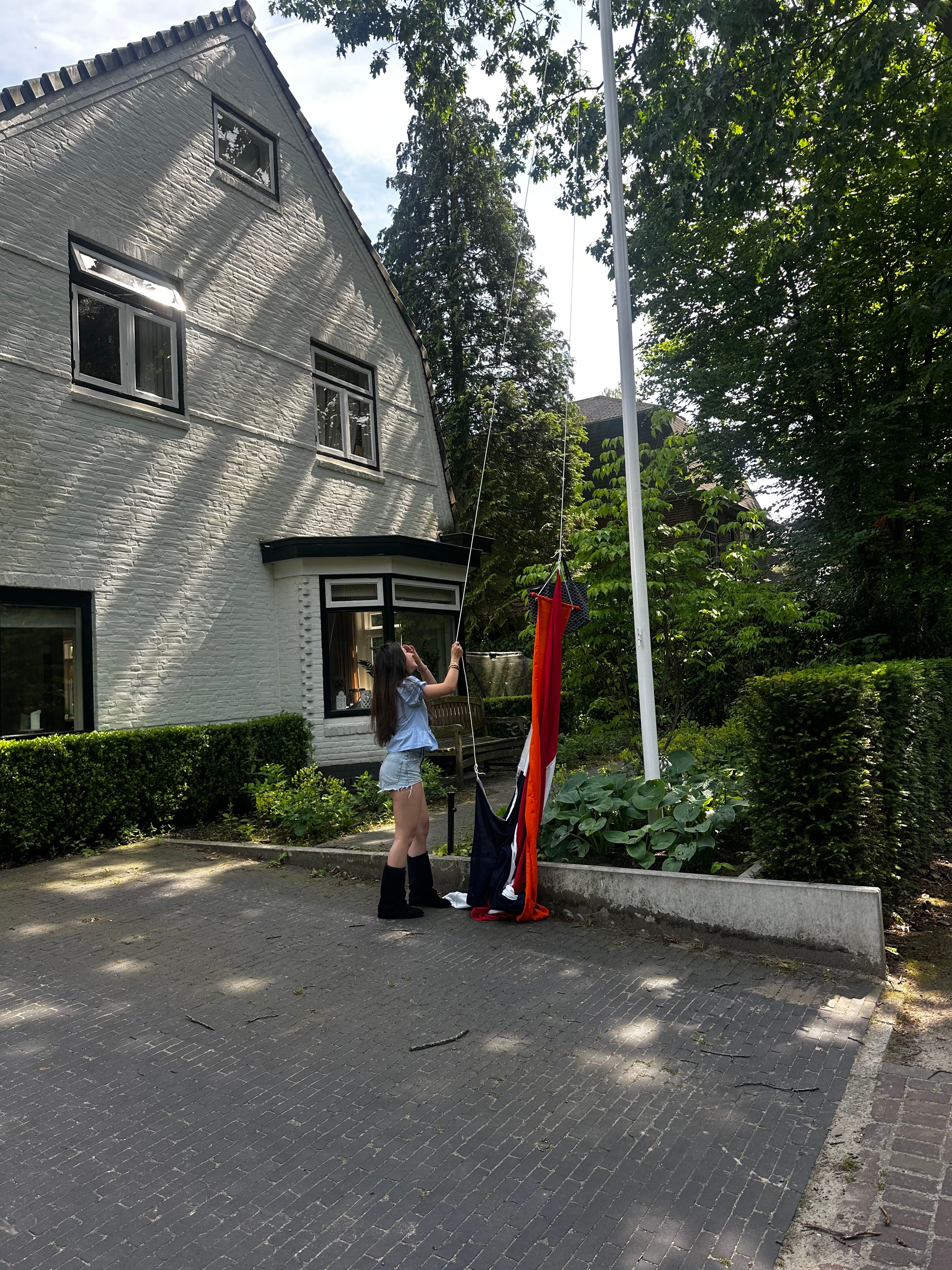 image-8