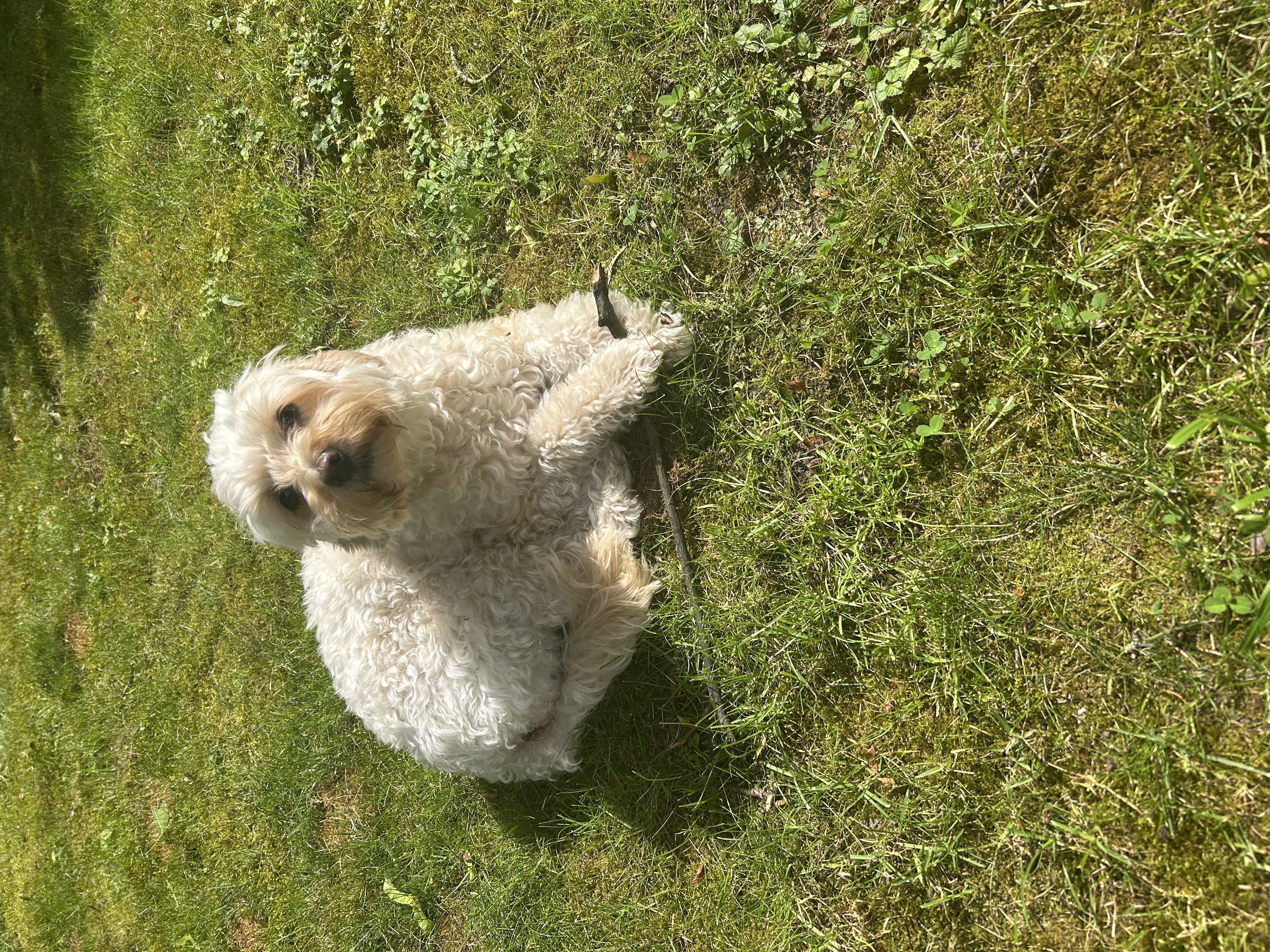image-5