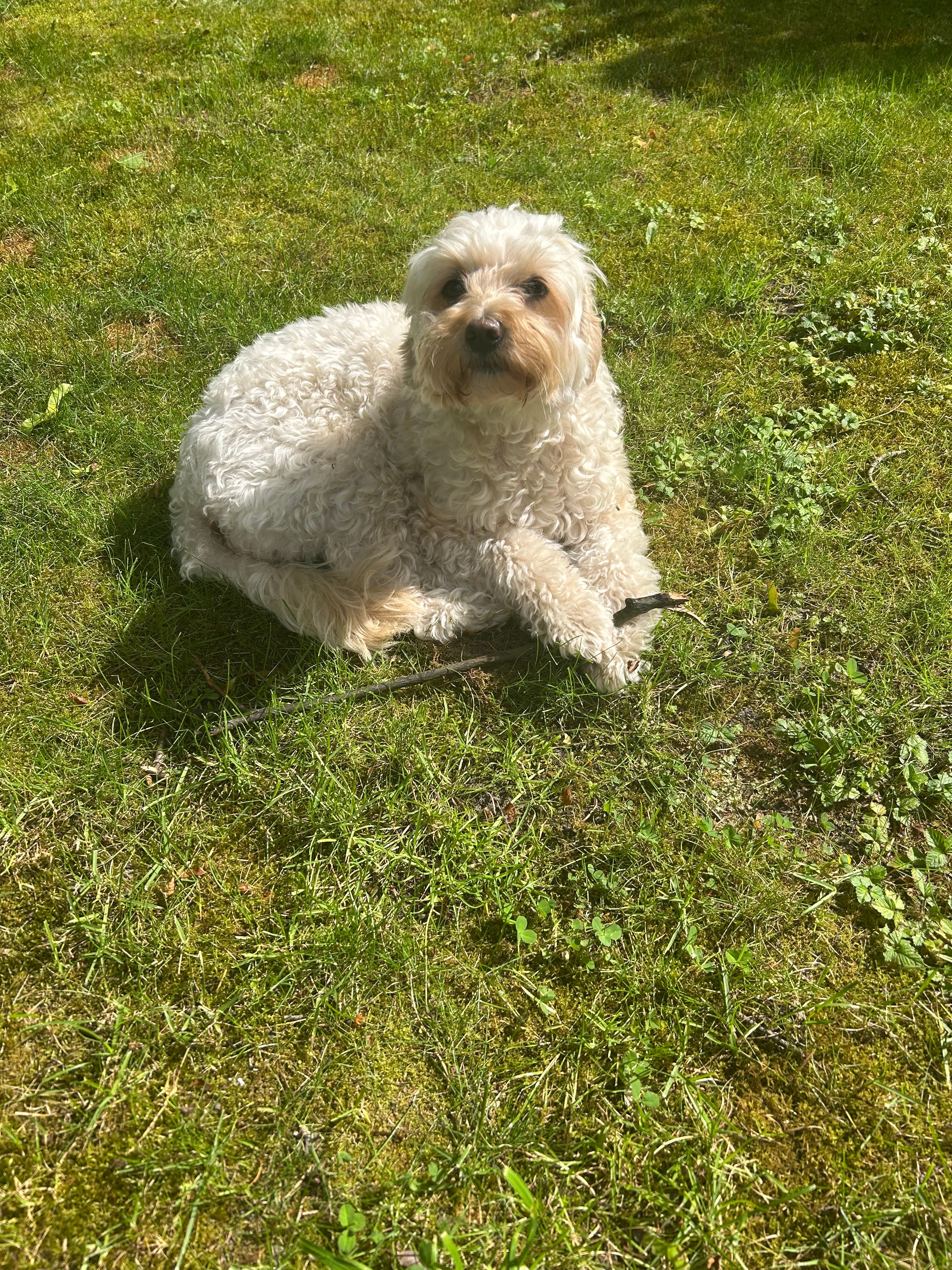 image-5