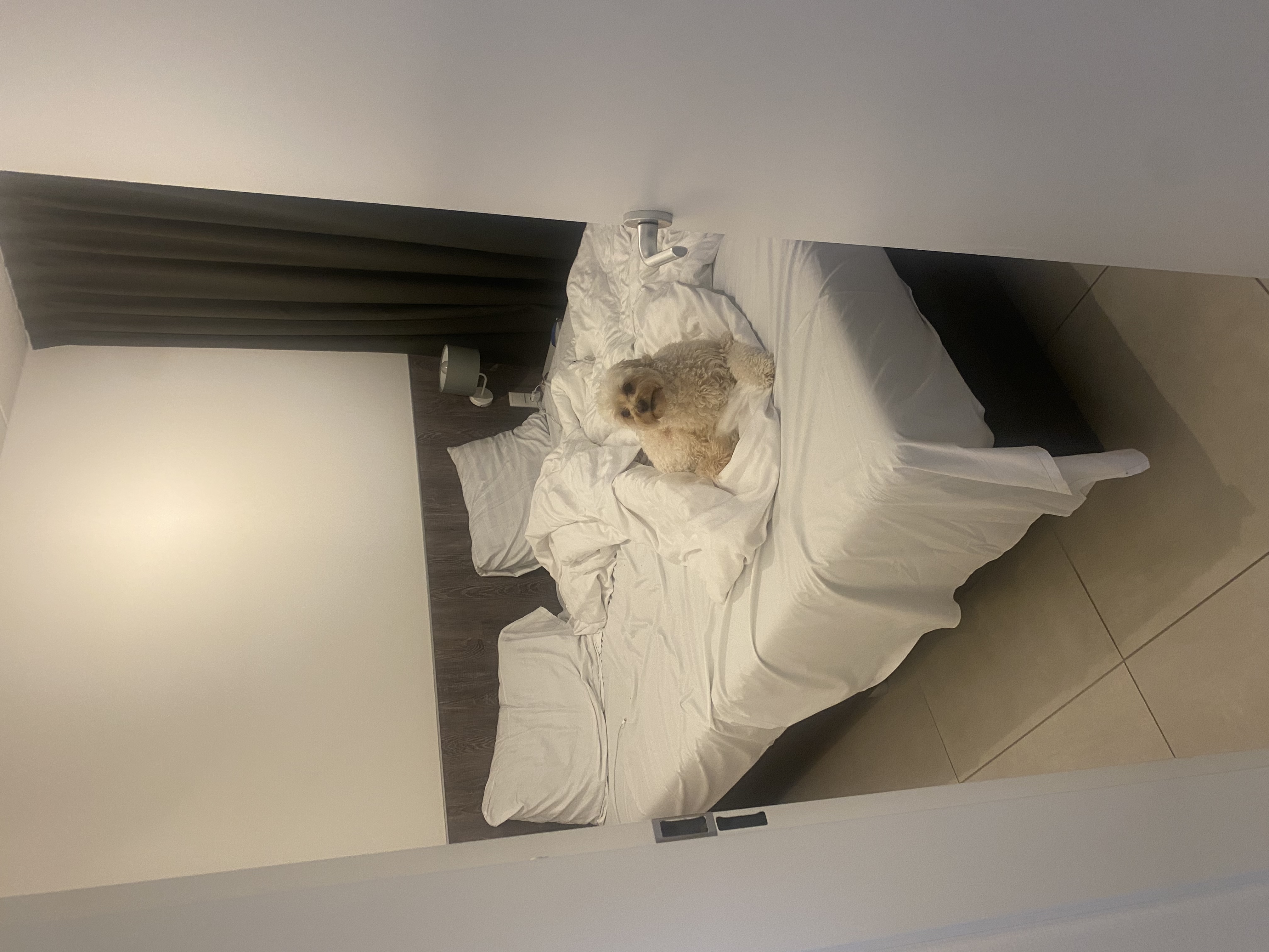 image-6