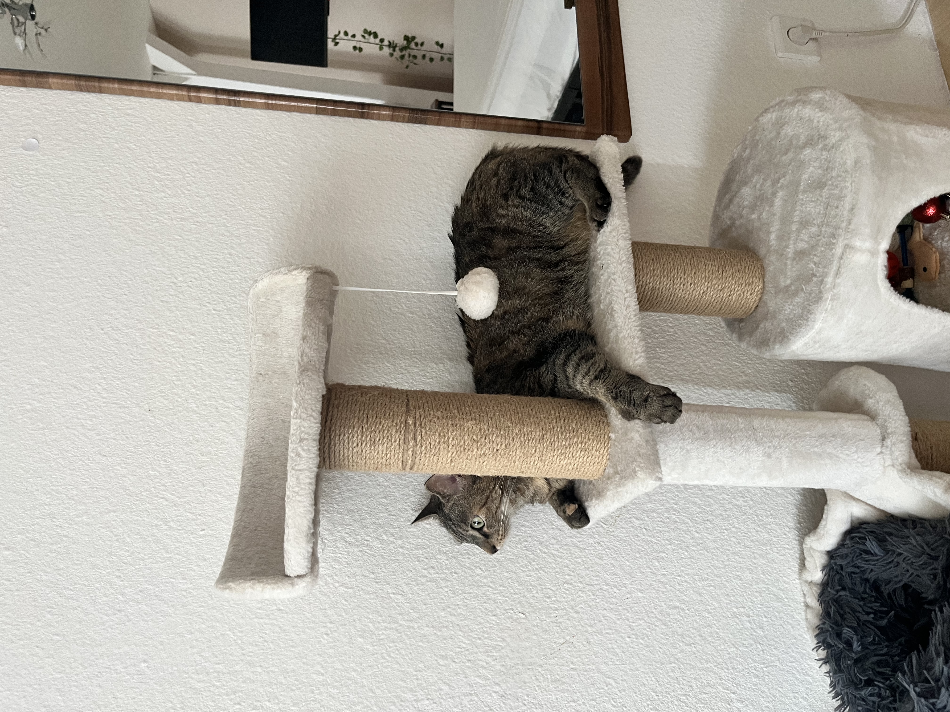 image-6