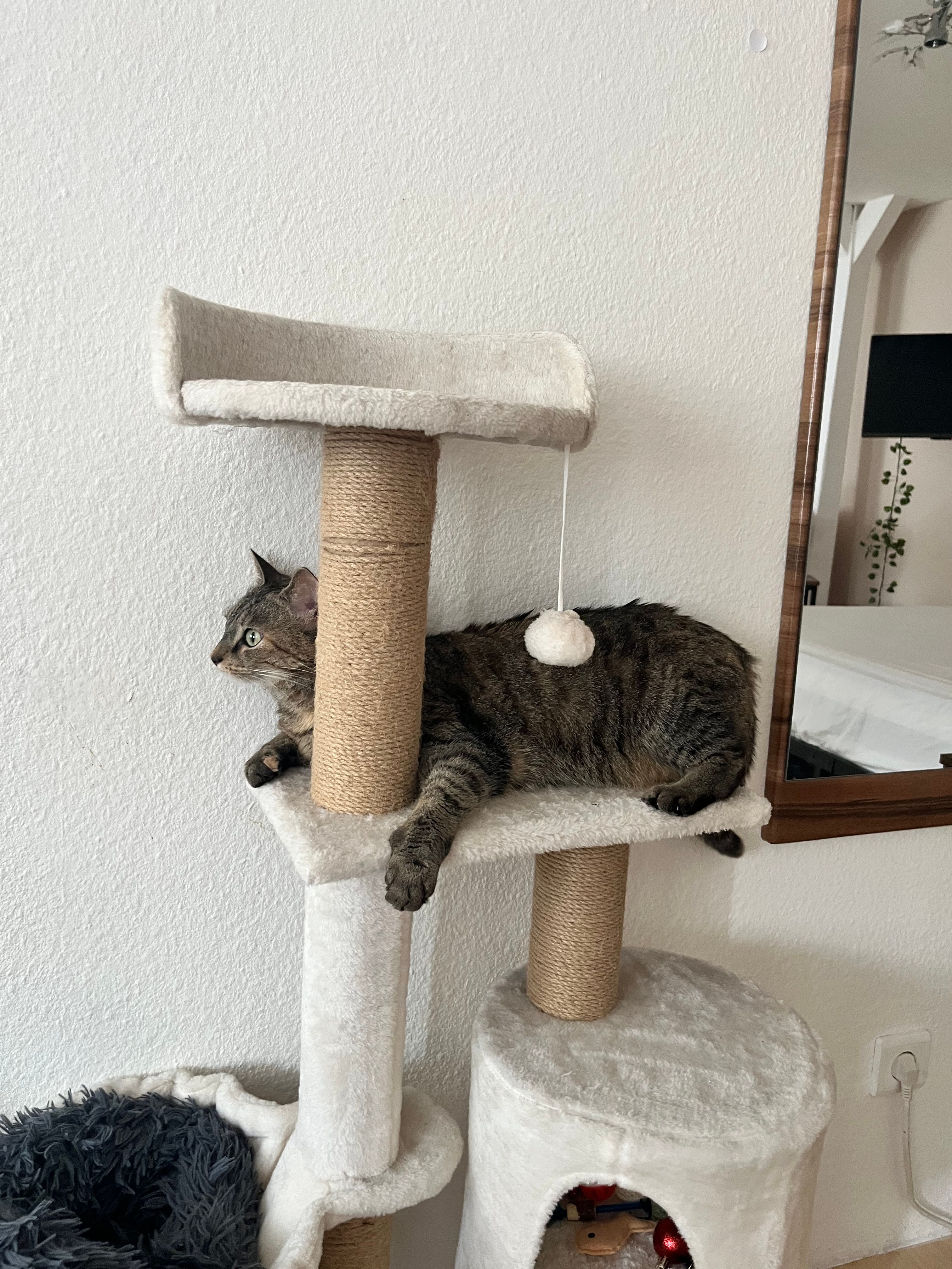 image-6