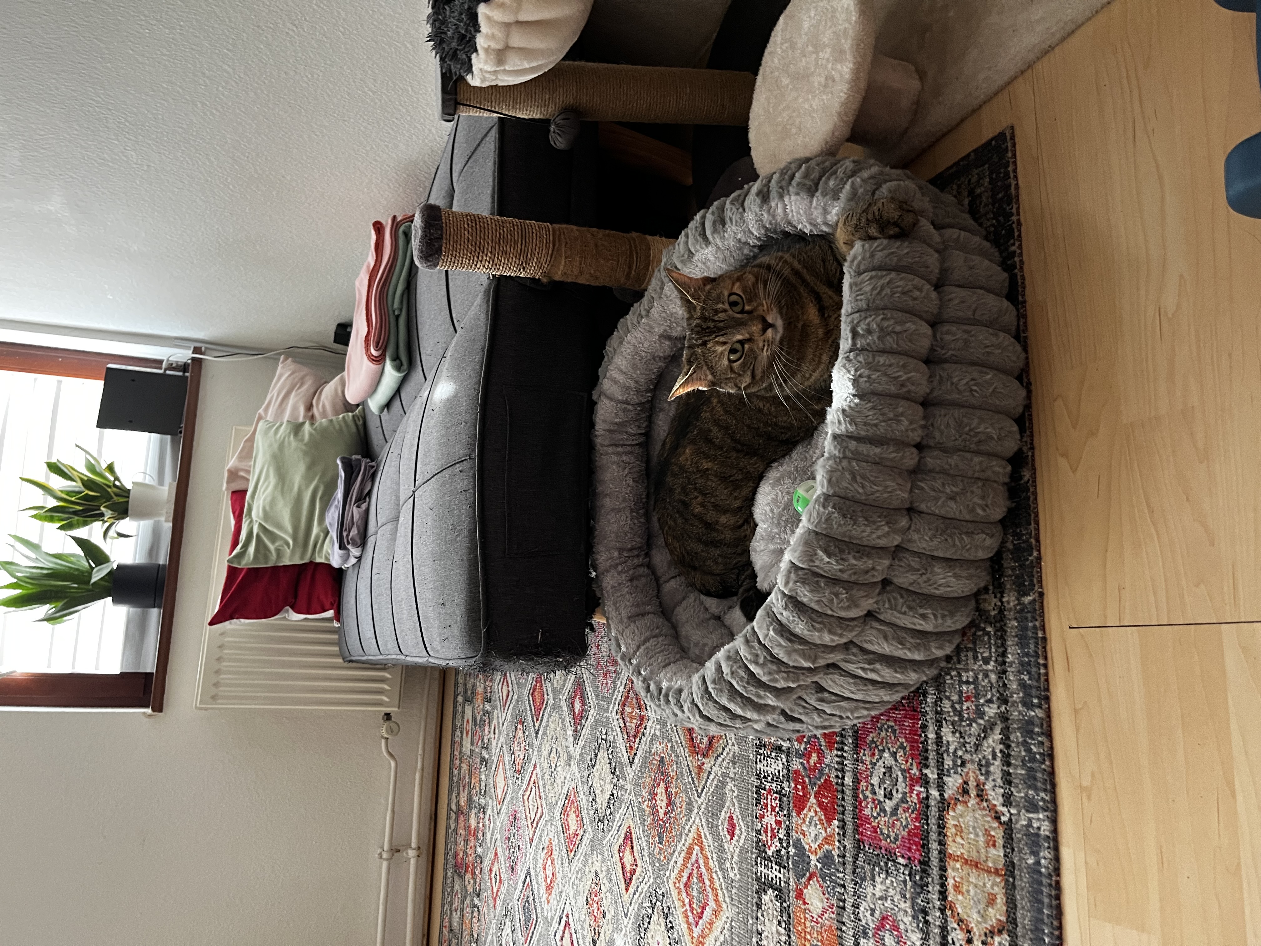 image-10
