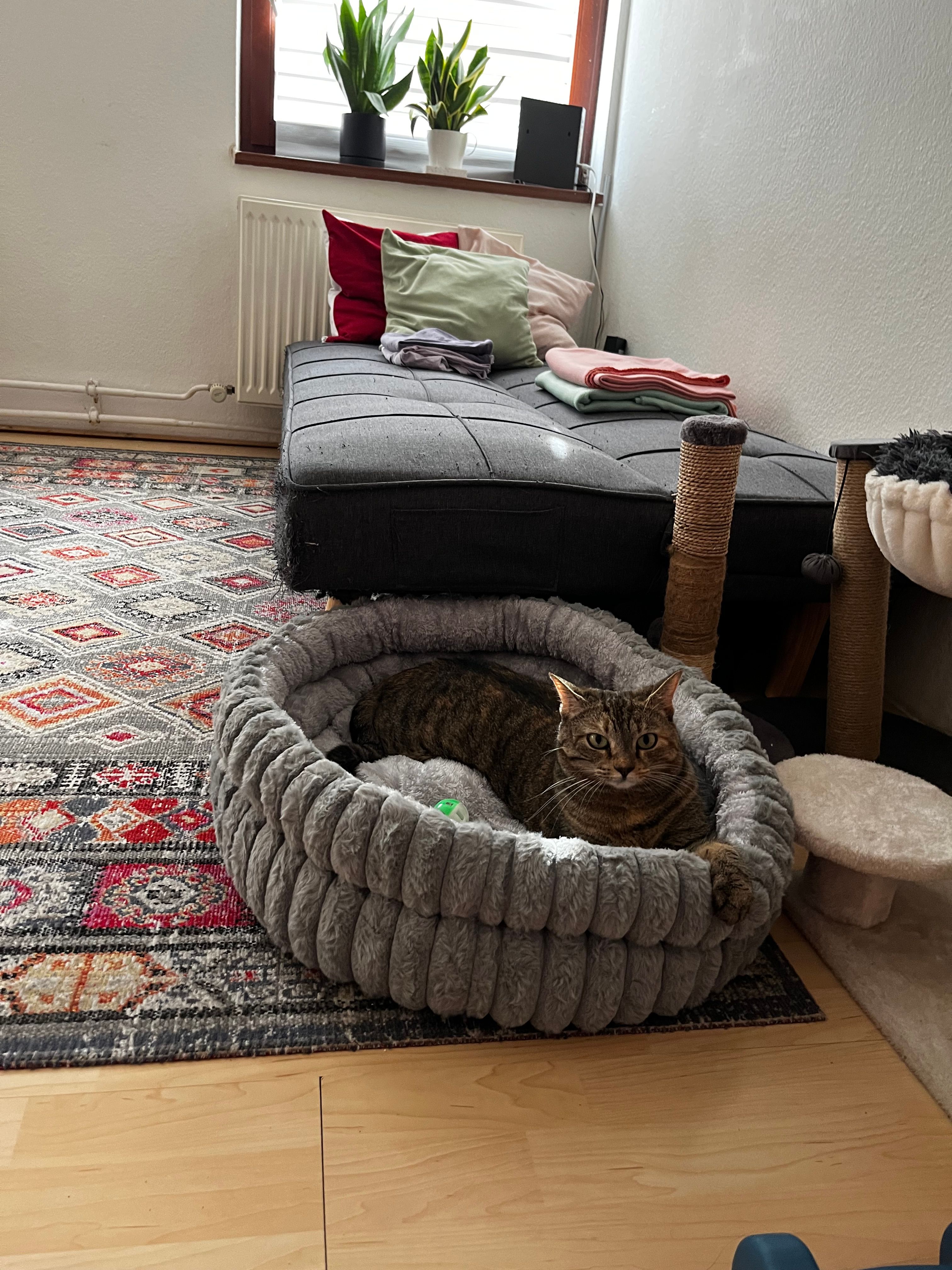 image-10
