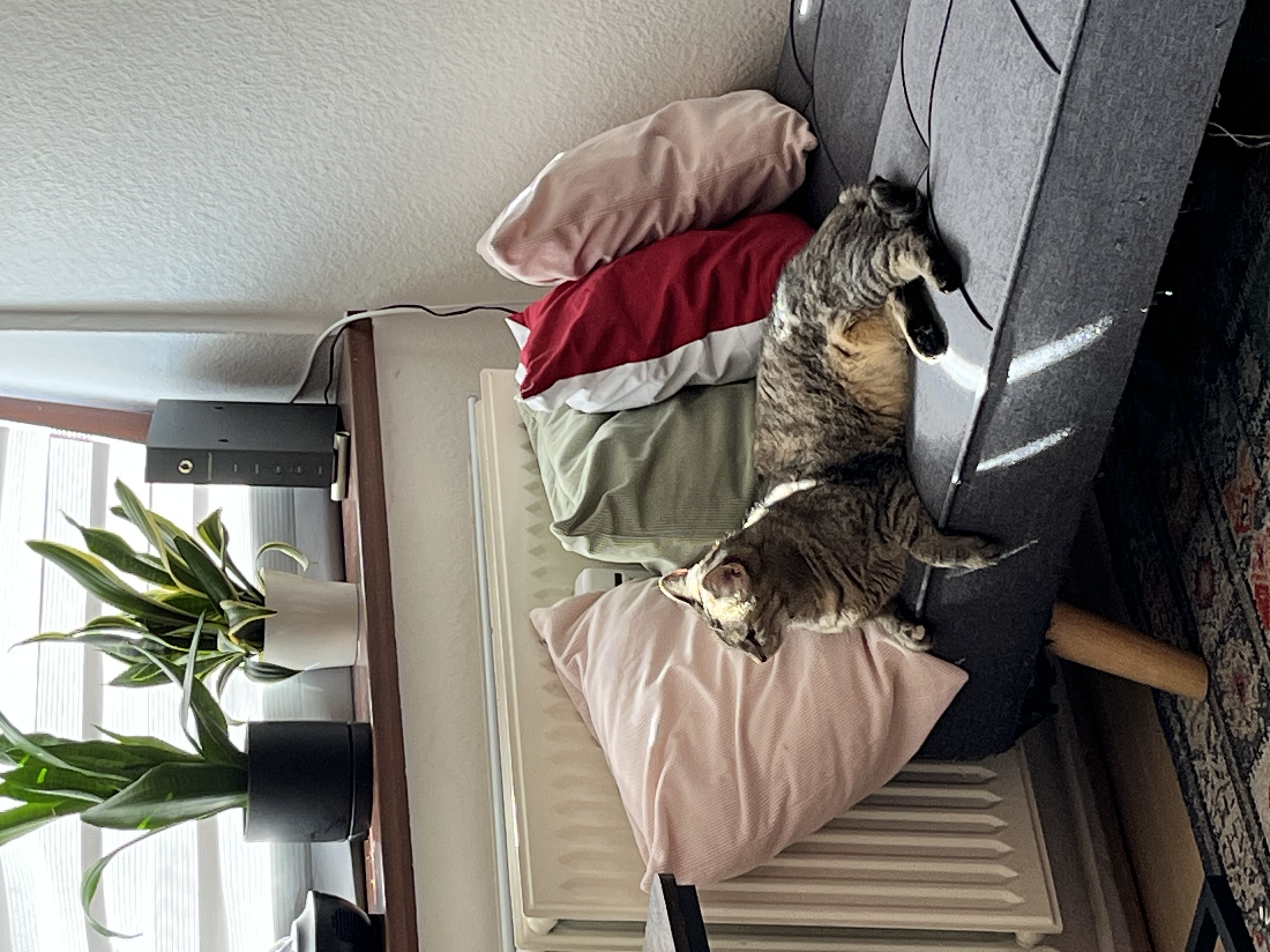 image-13