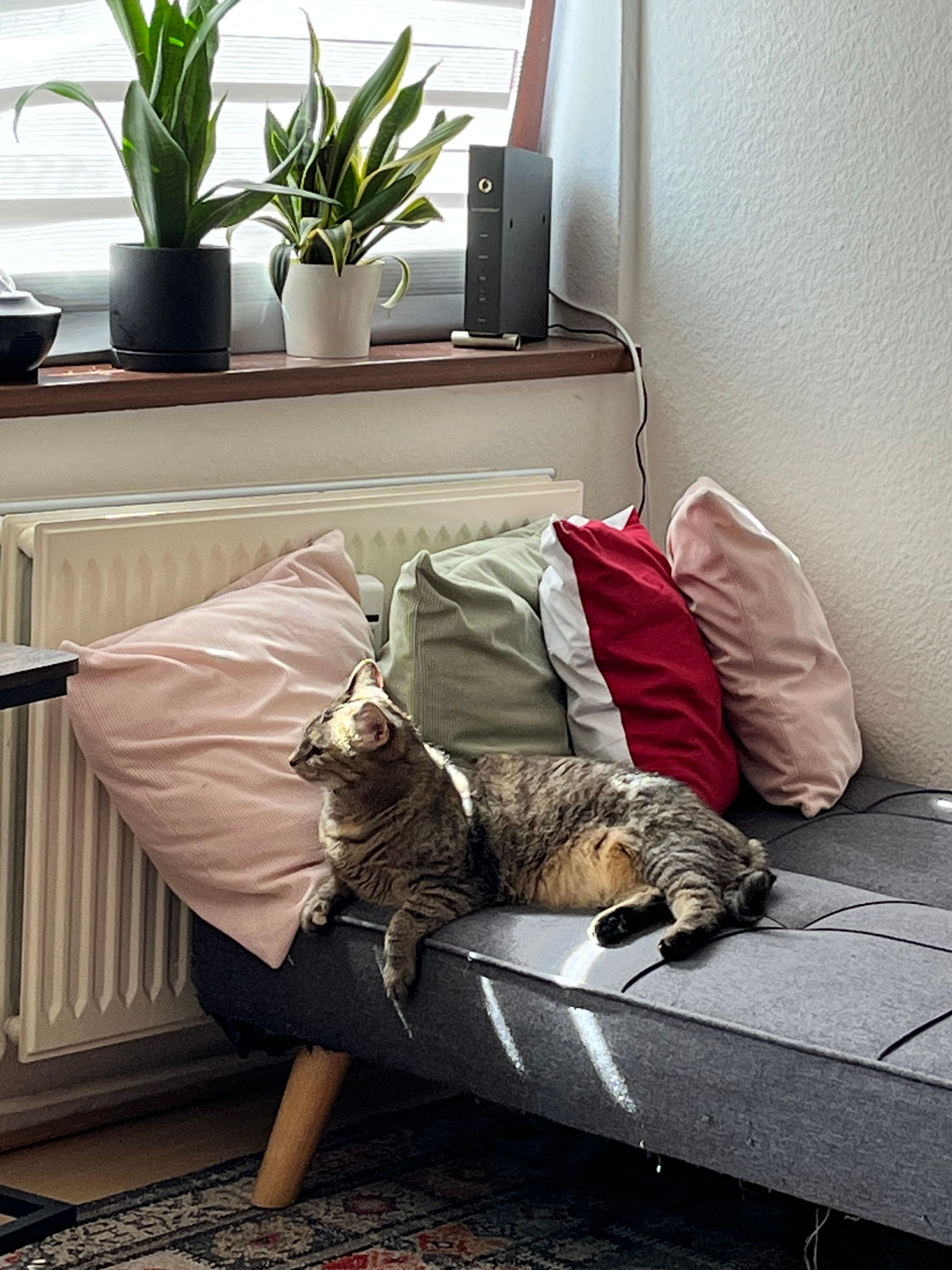 image-13