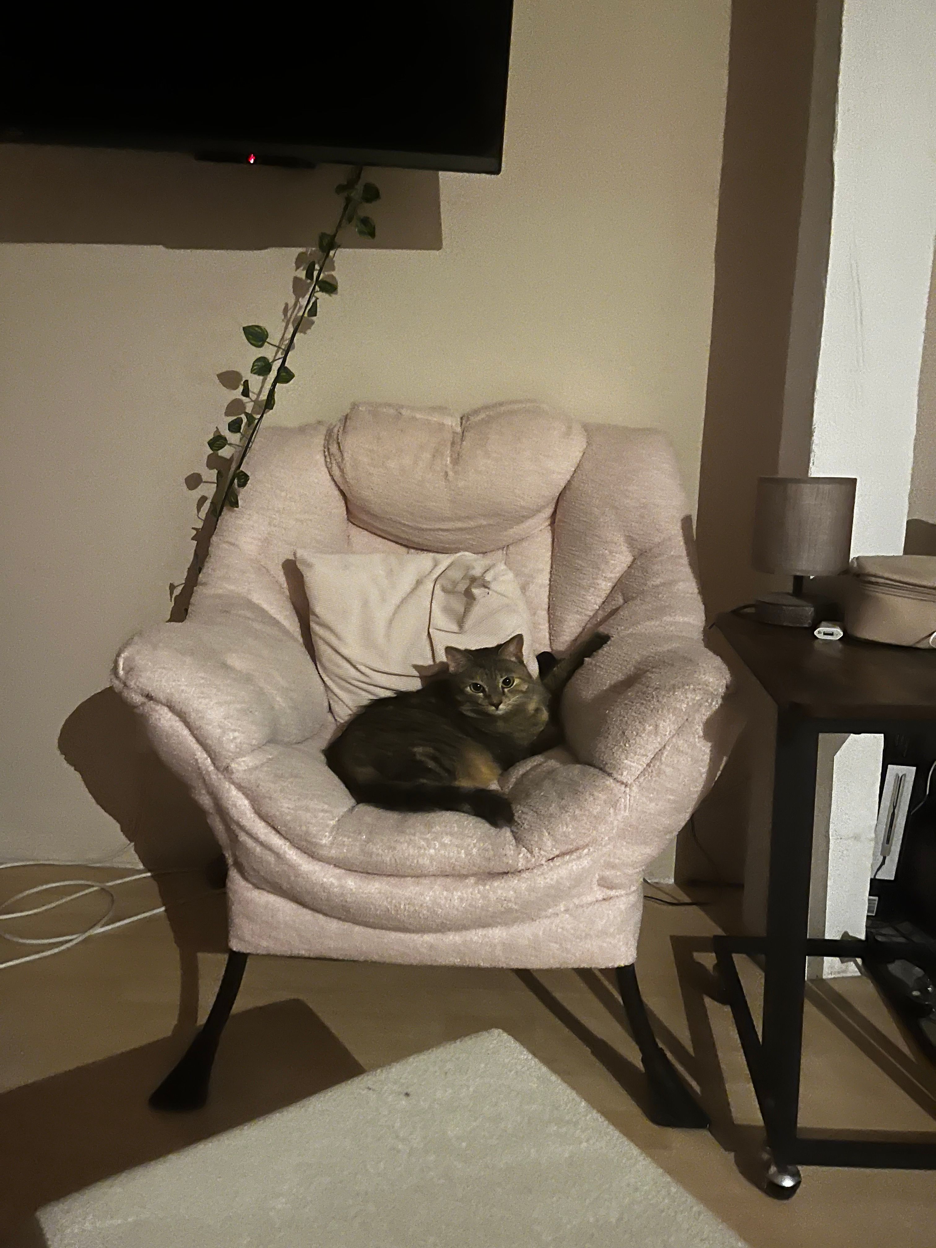 image-11