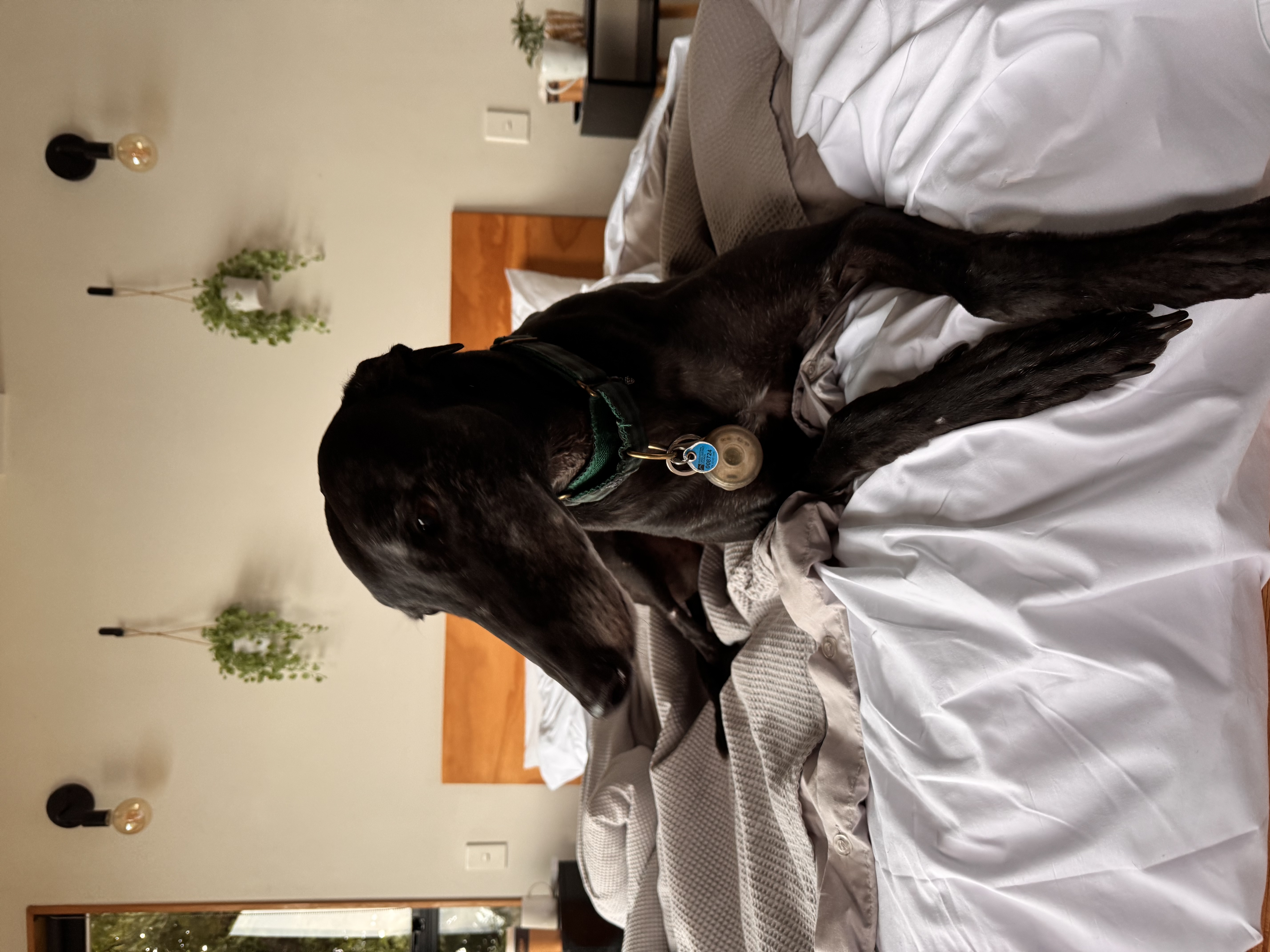 image-6