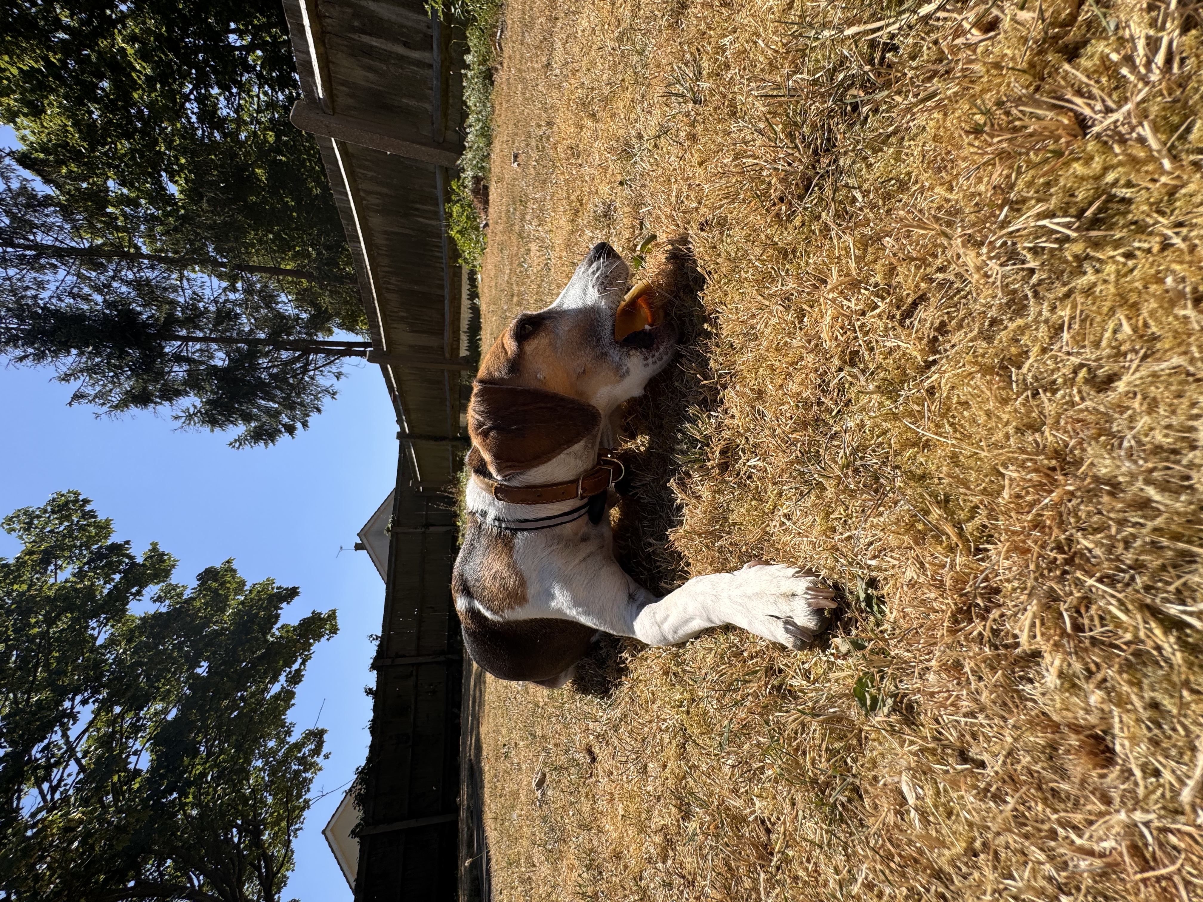 image-14