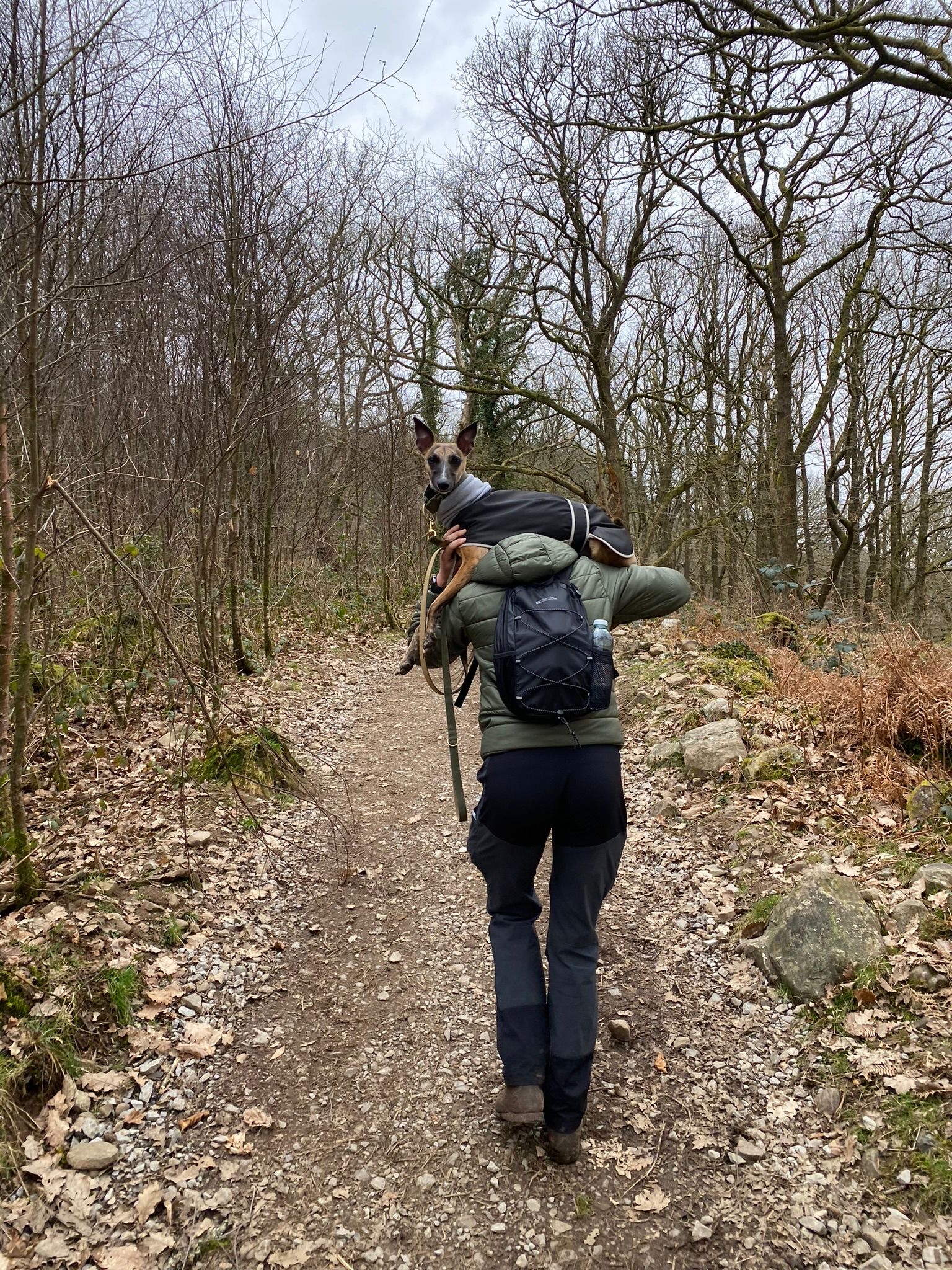 image-8