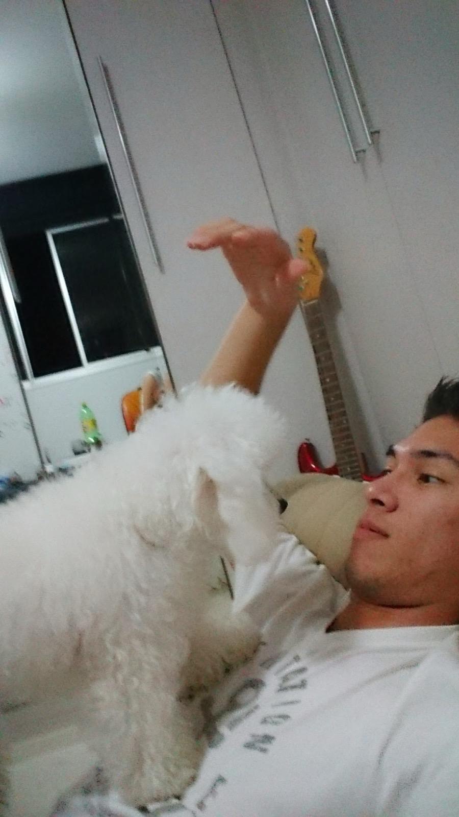 image-7