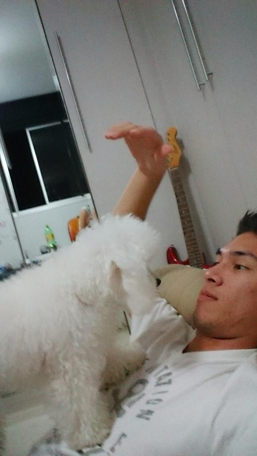 image-7