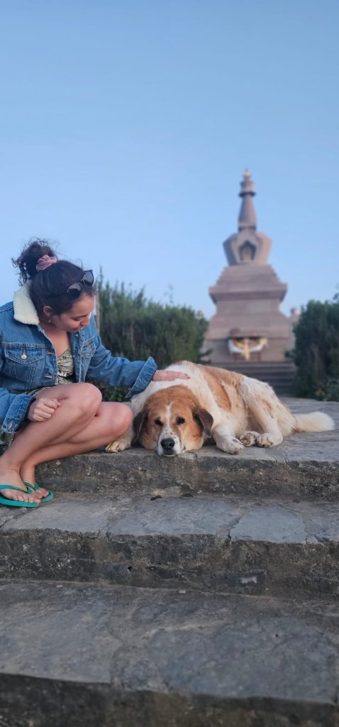 image-7