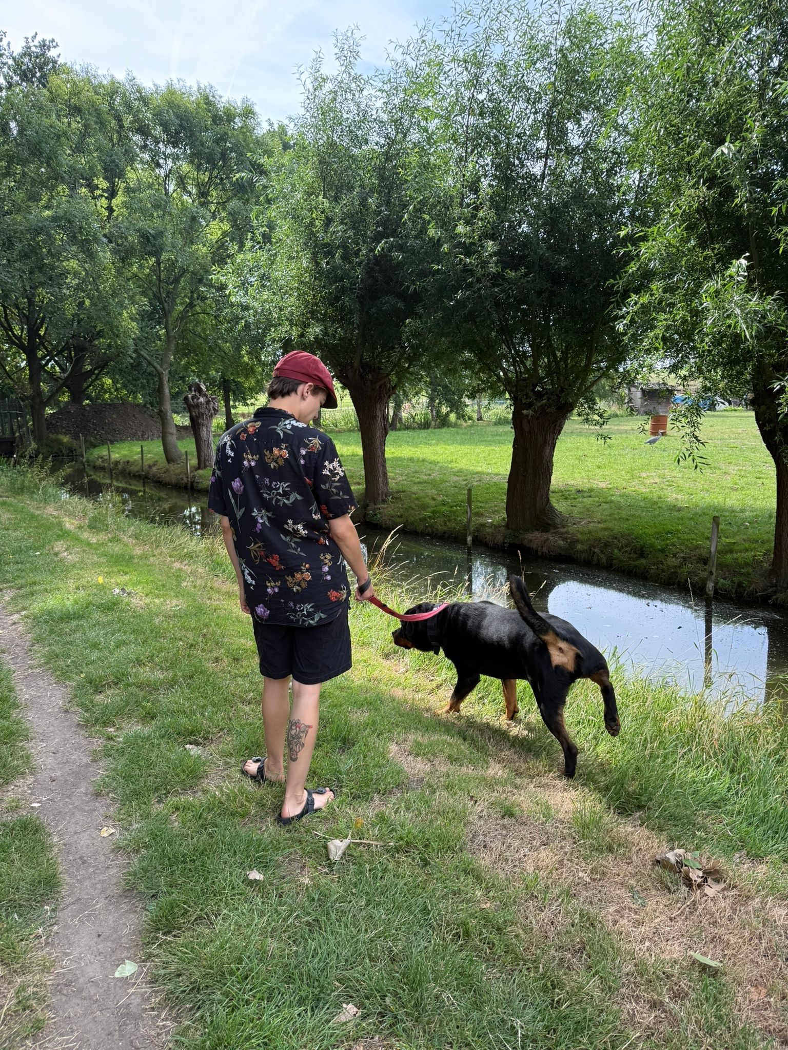 image-12