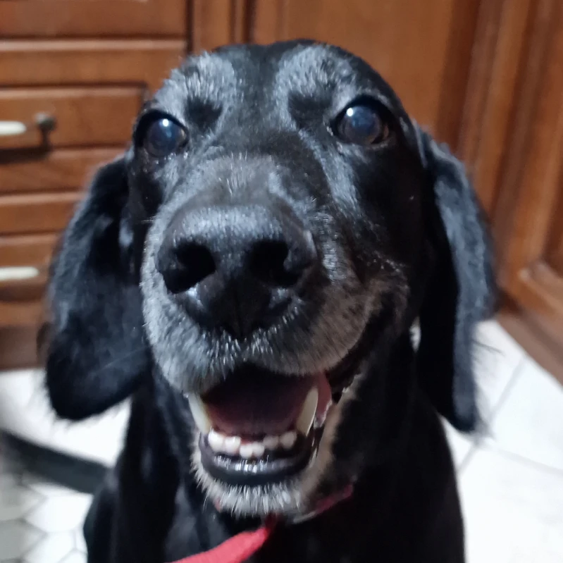 Jack