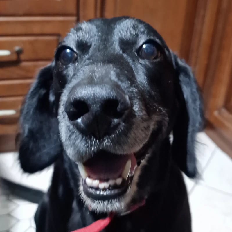 Jack