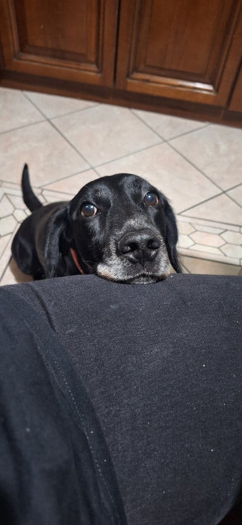Jack