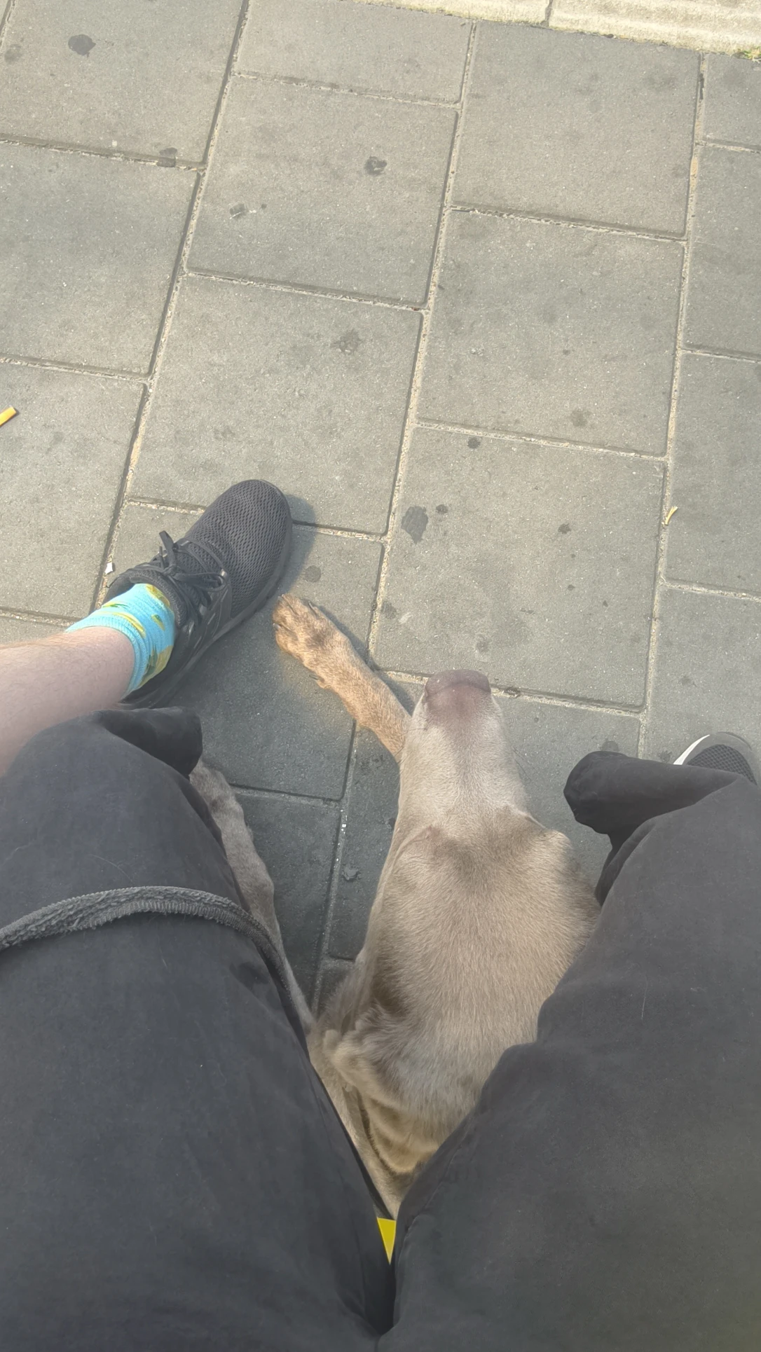 image-15
