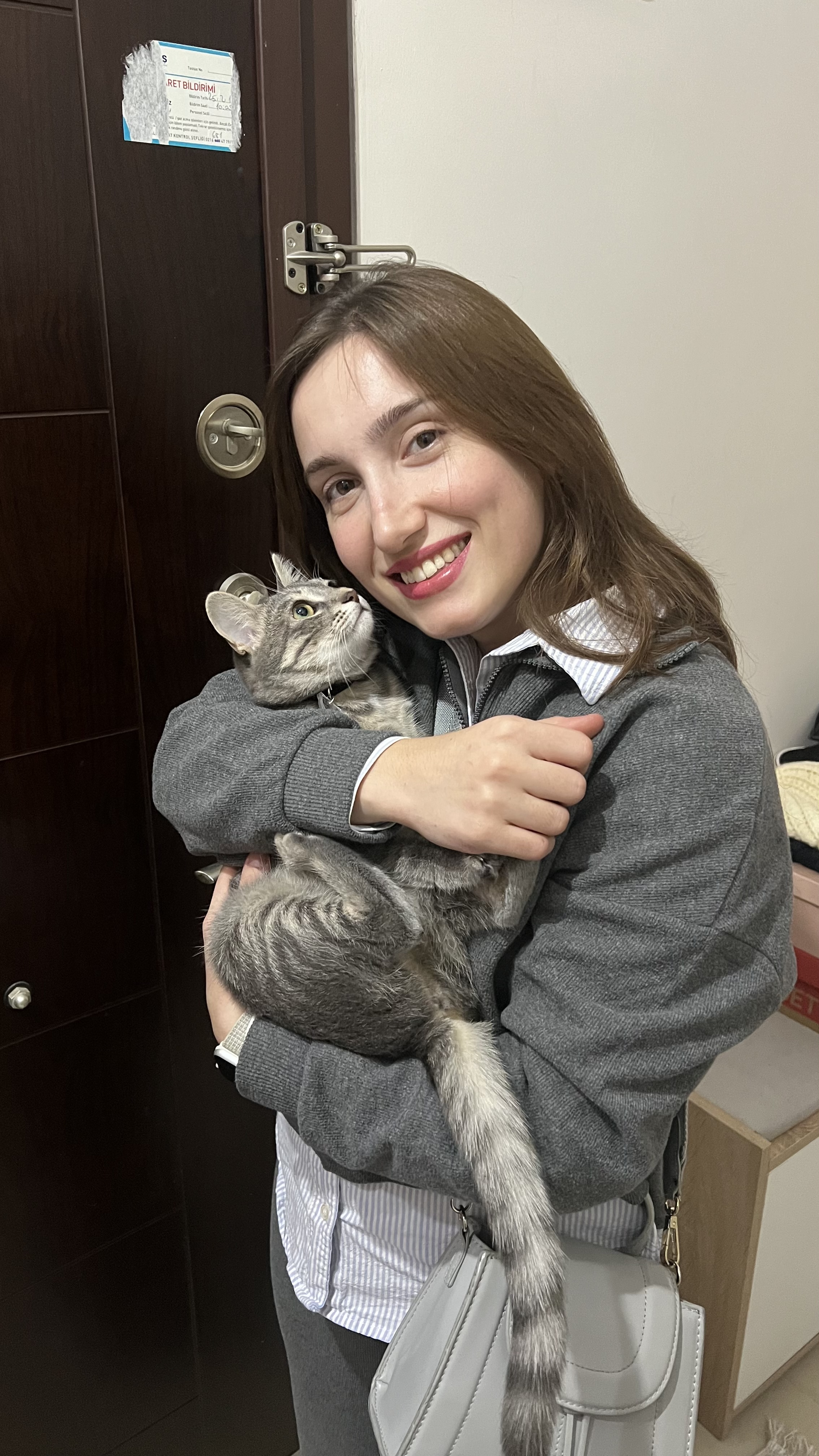 image-8