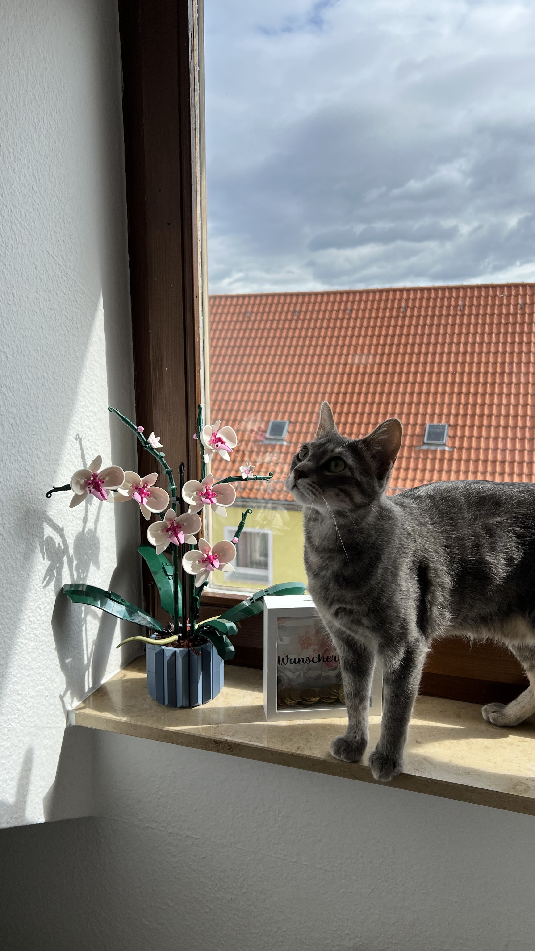 image-17