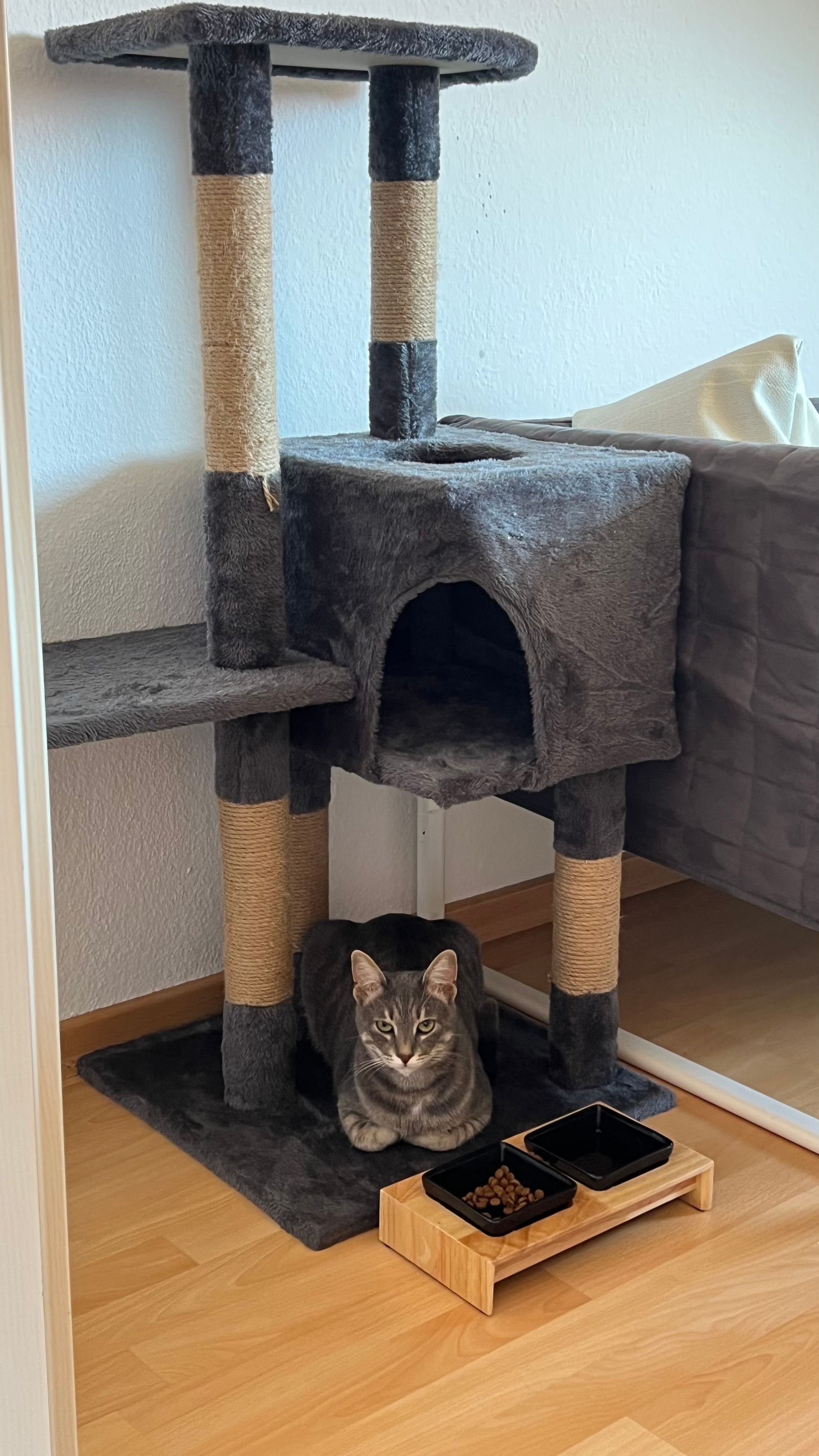 image-16