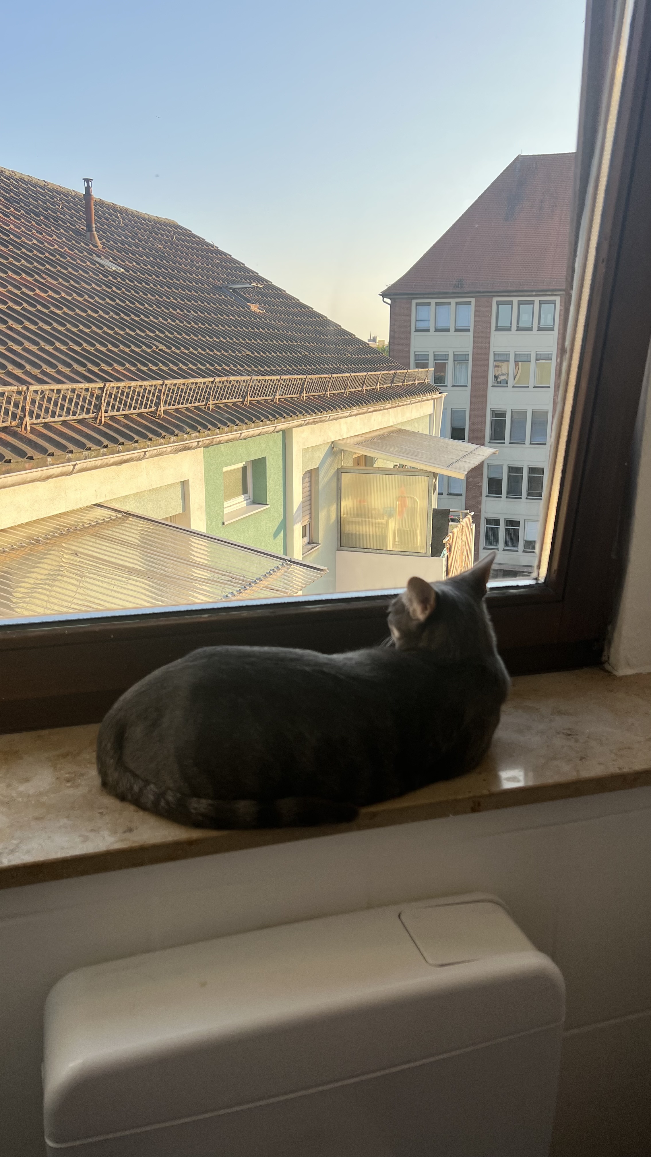 image-18