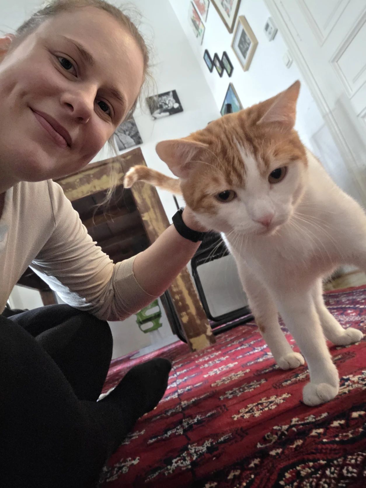 image-8