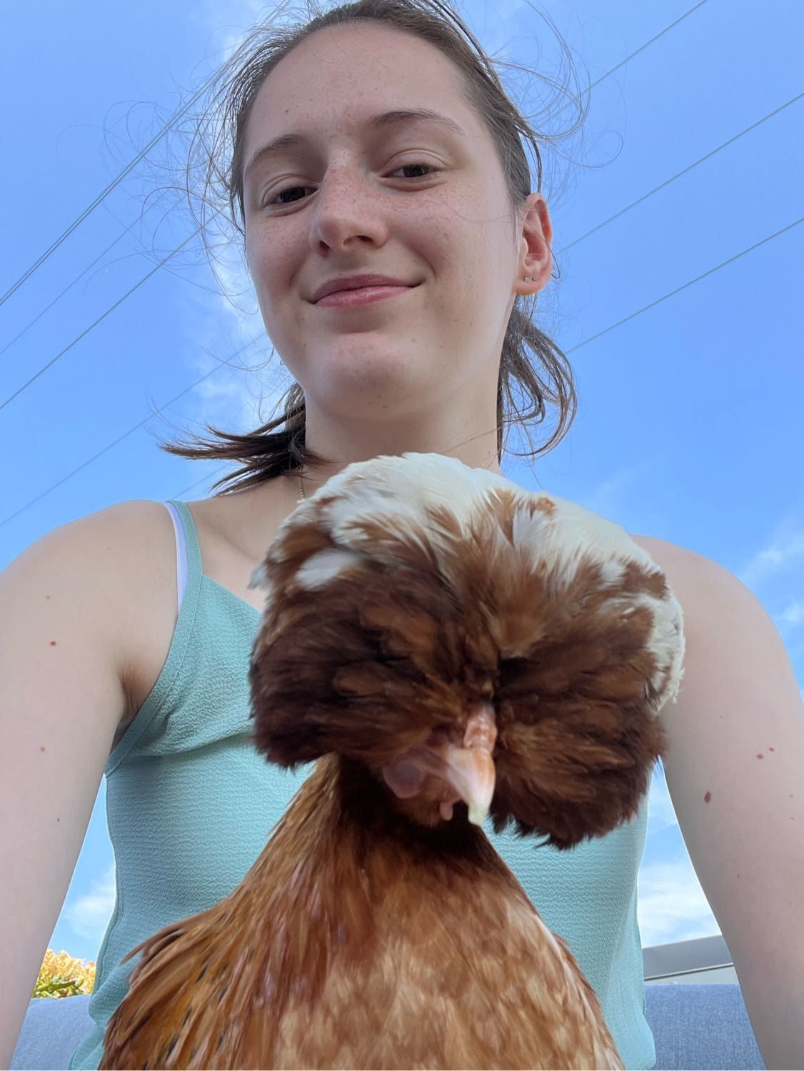 image-6