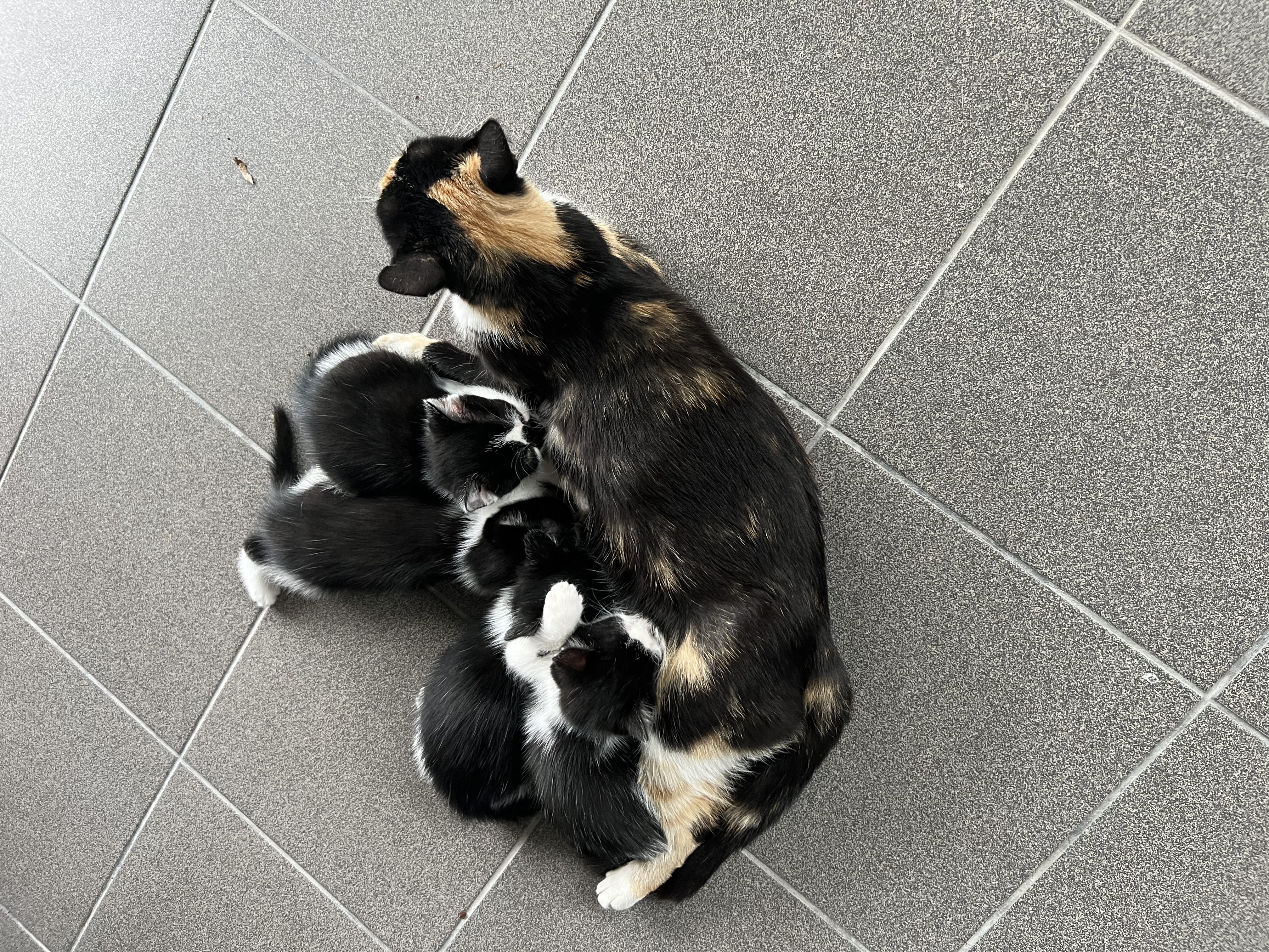 image-16
