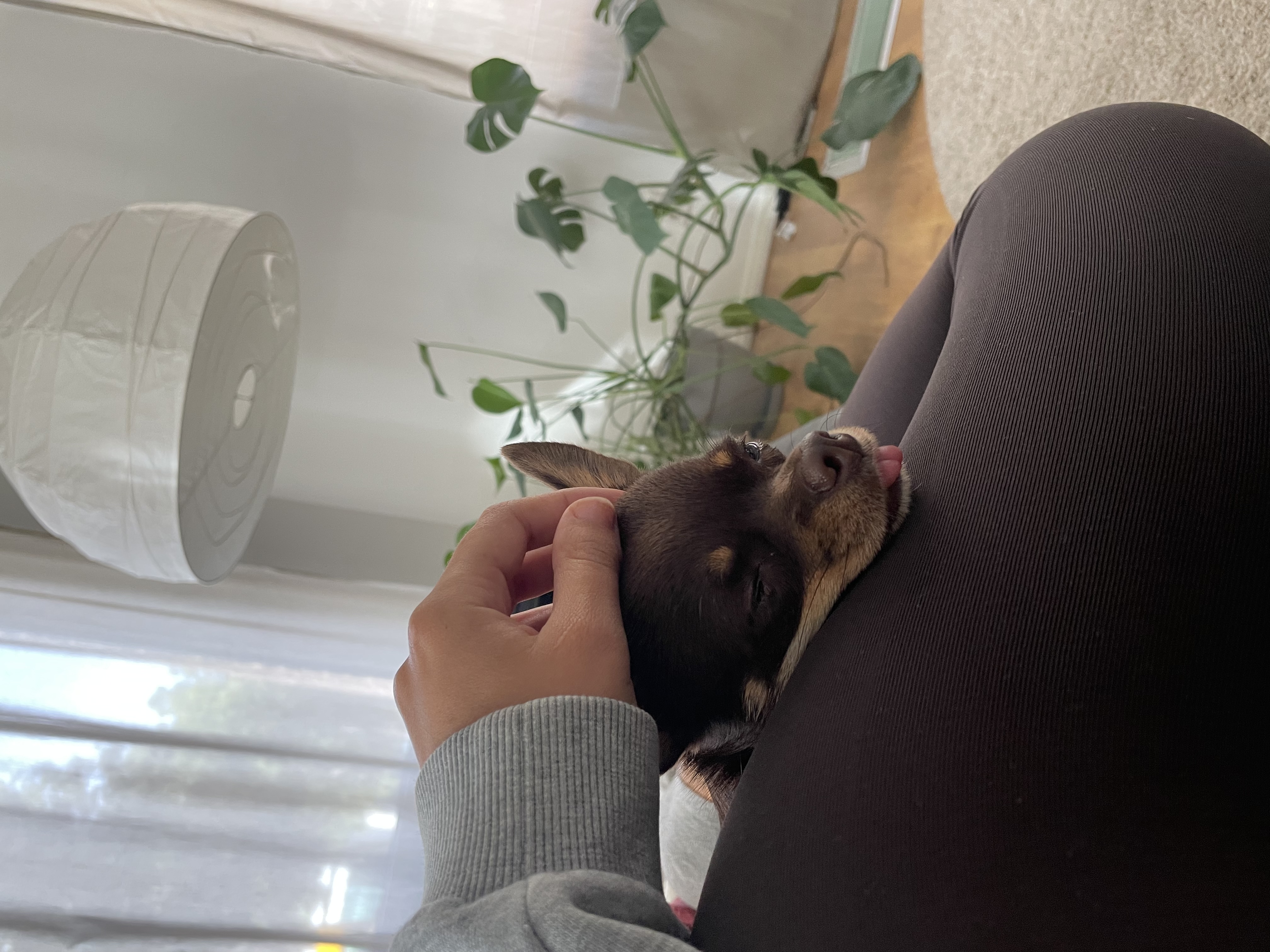 image-10