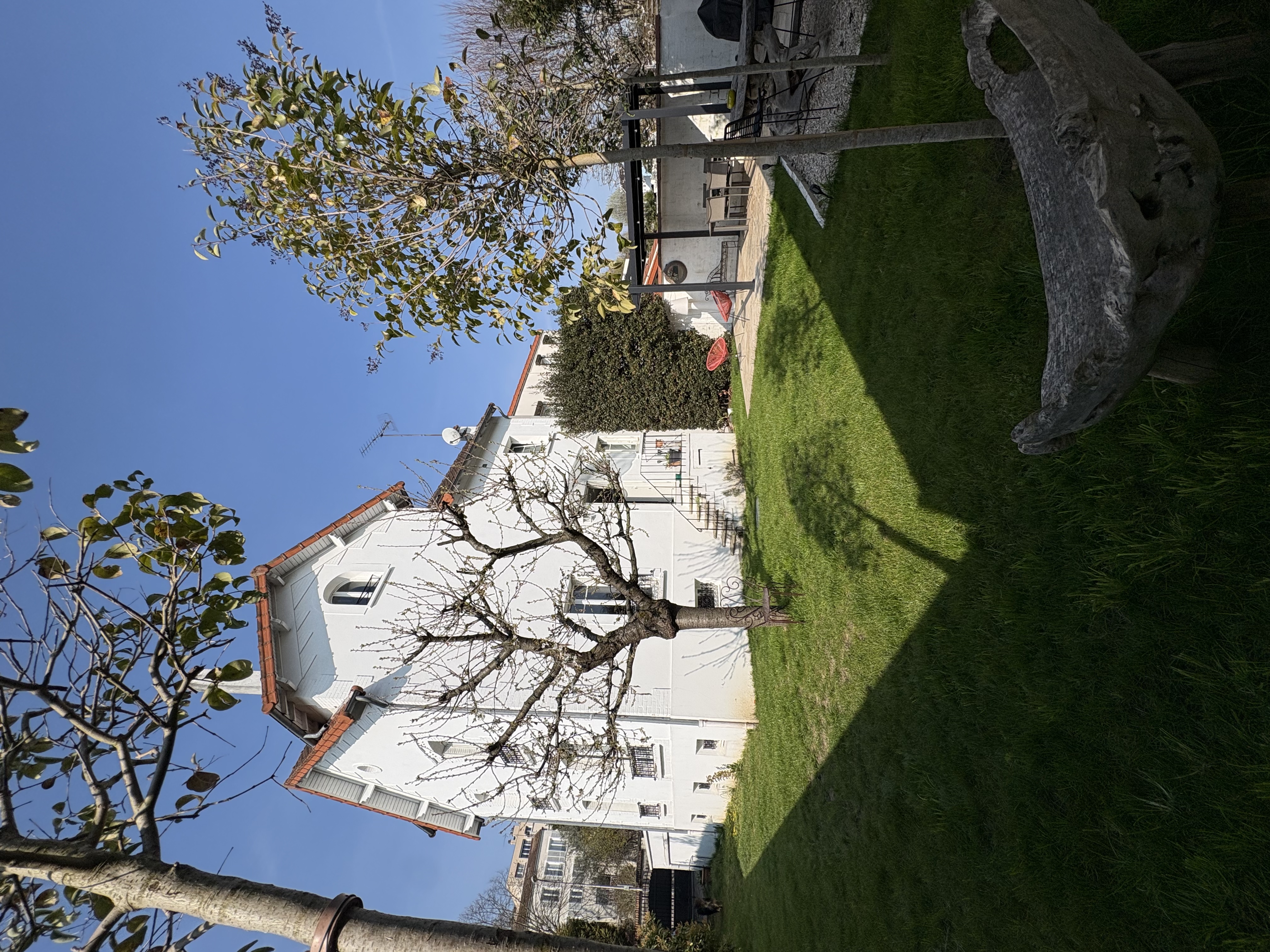 image-18
