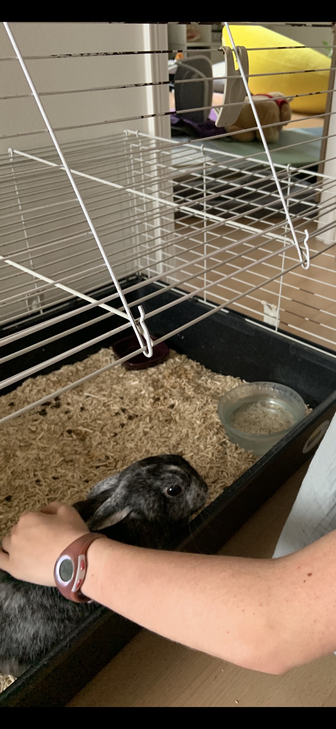 image-11