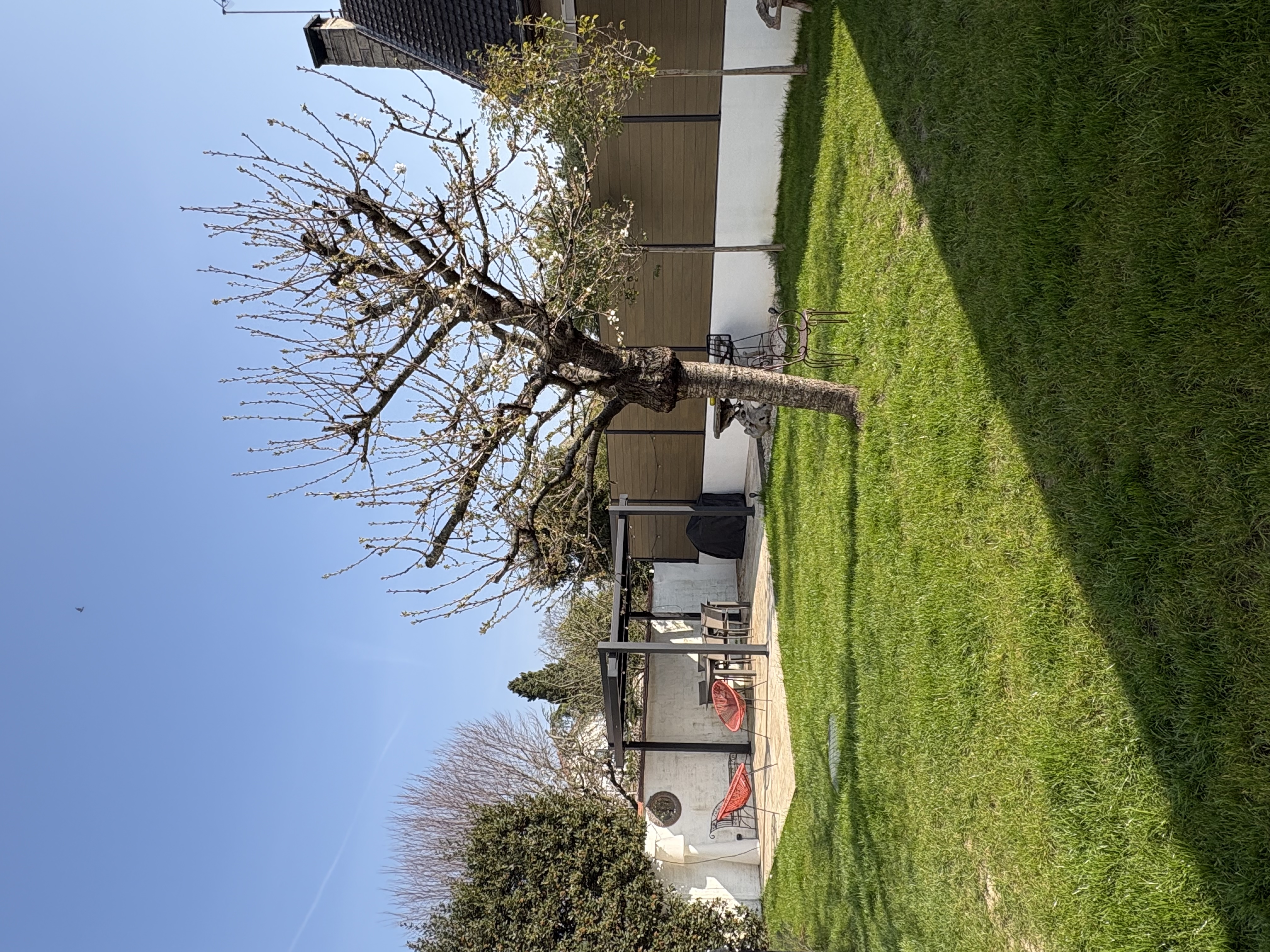 image-17