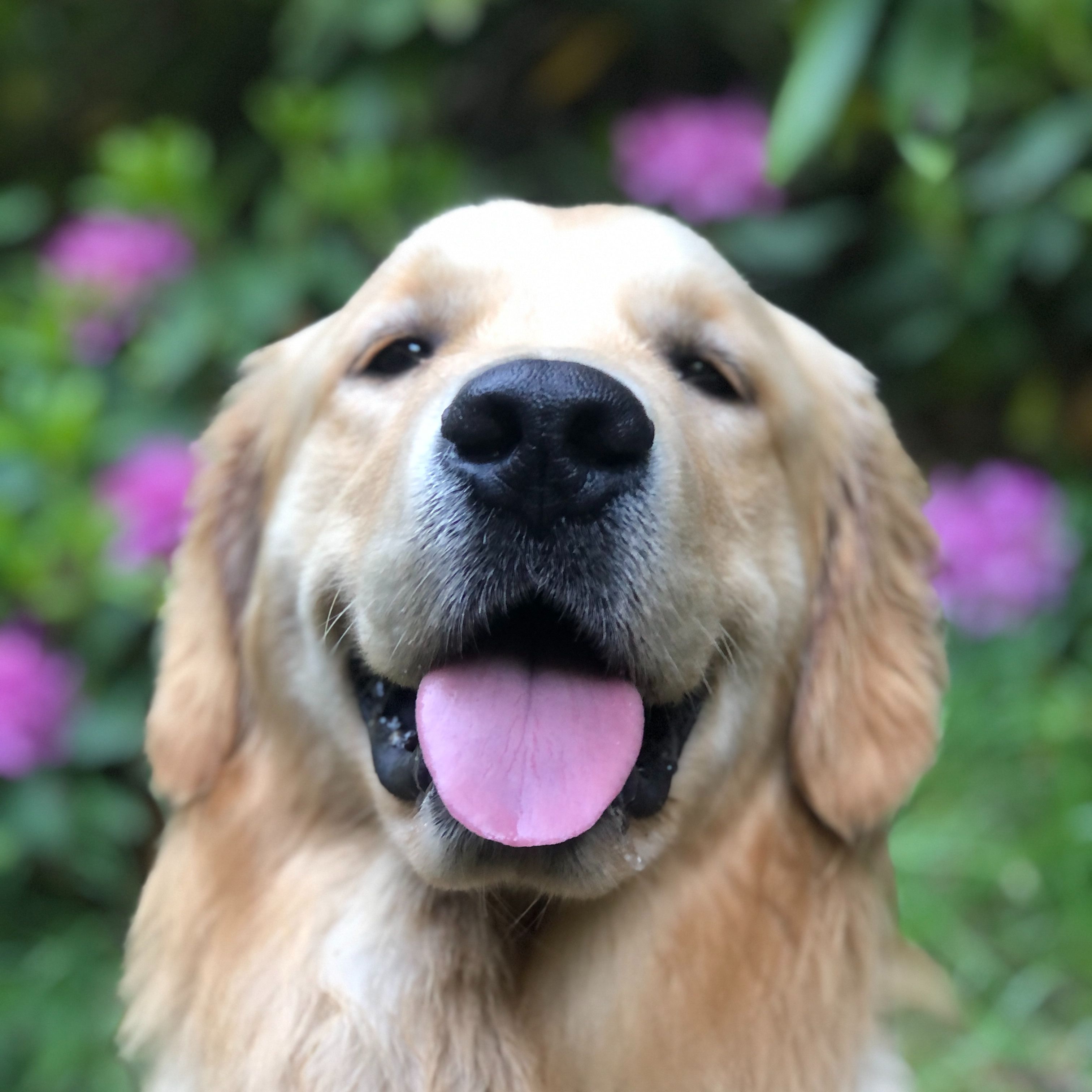 Max