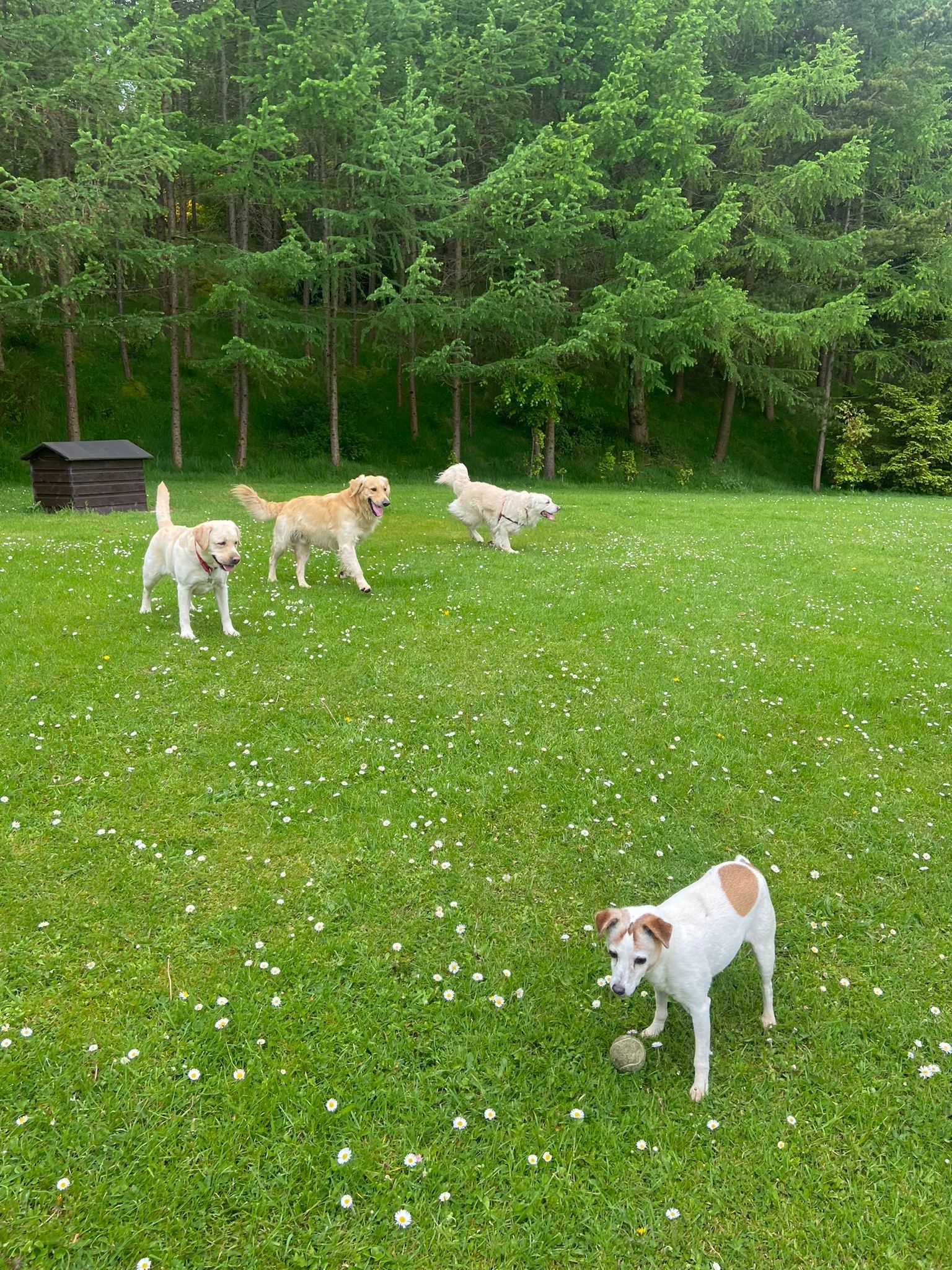 image-15