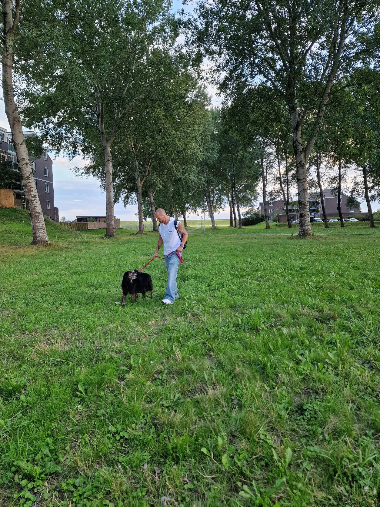 image-13