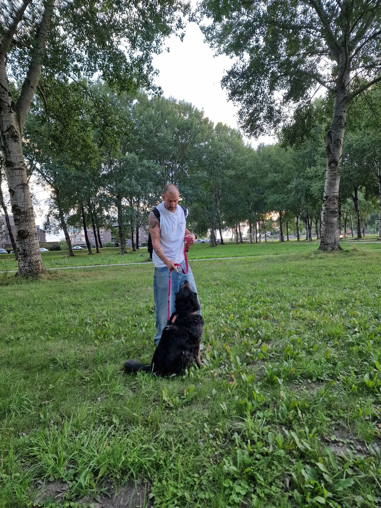 image-12