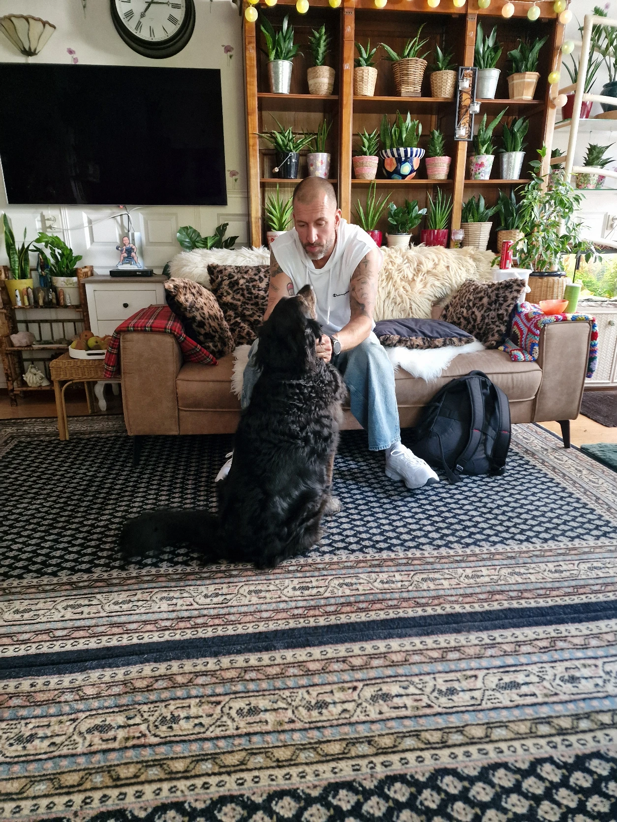image-11