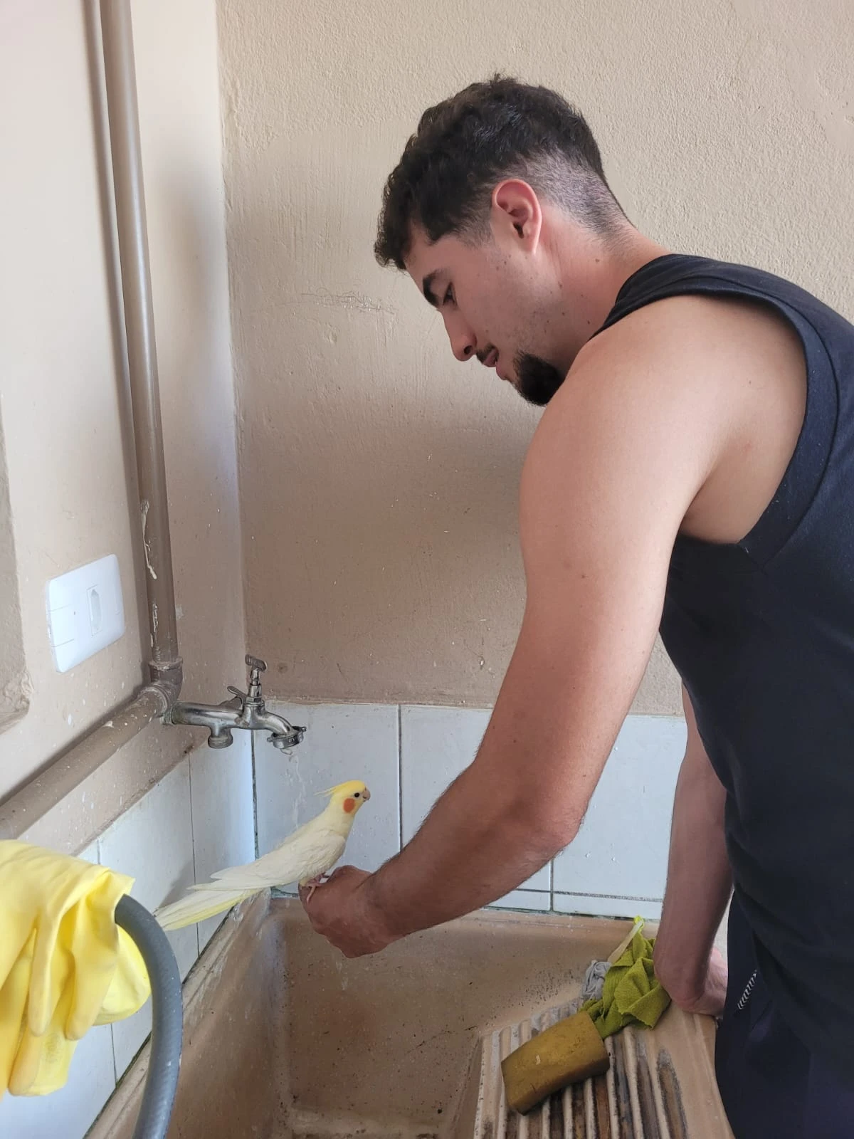 image-1