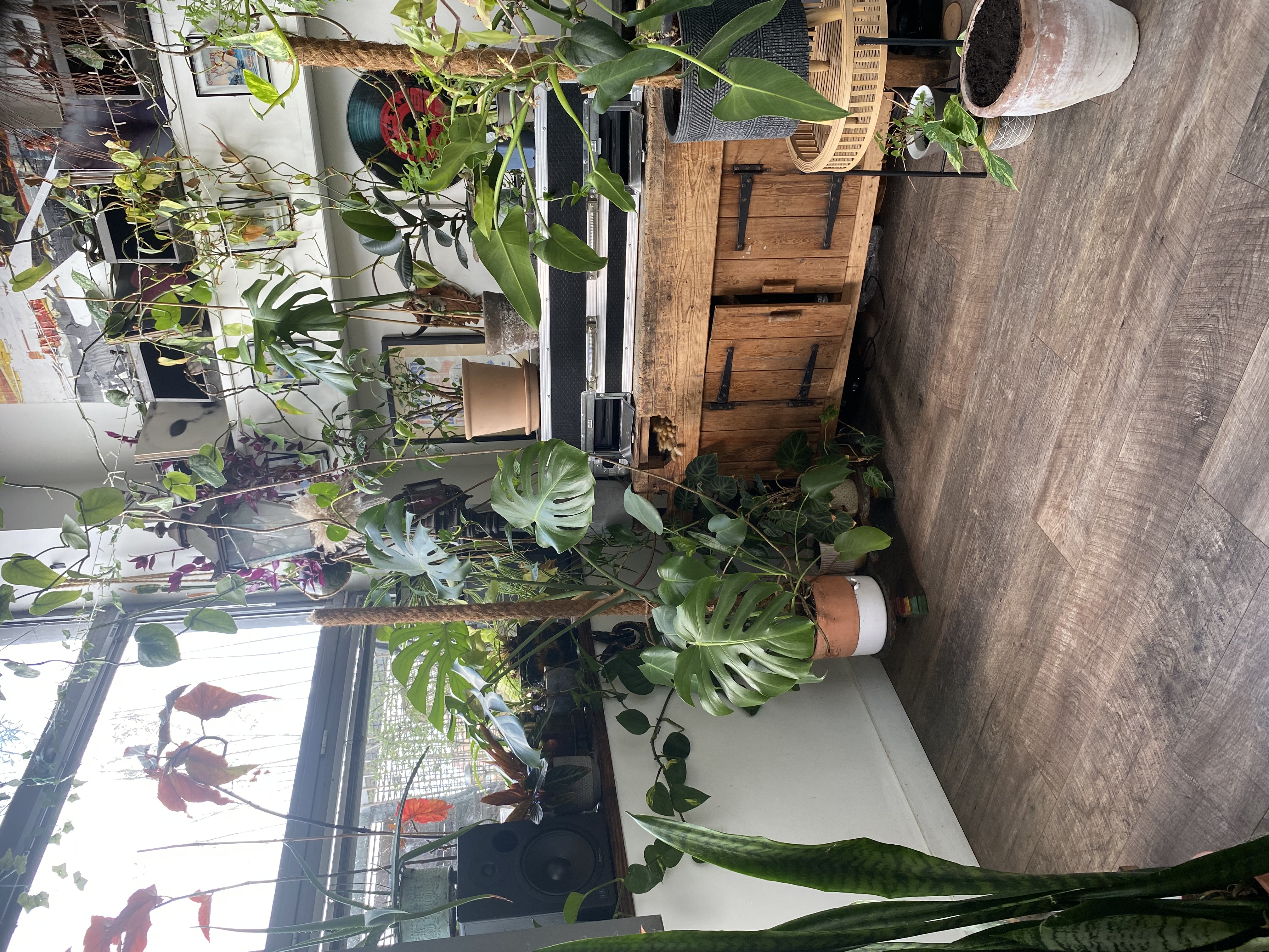 image-15