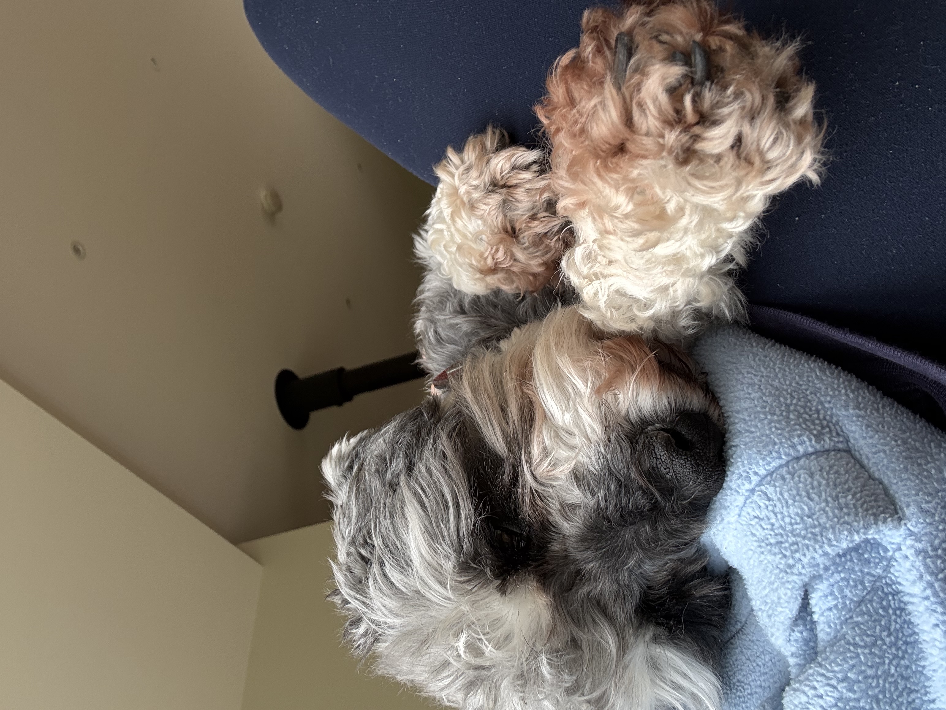 image-6