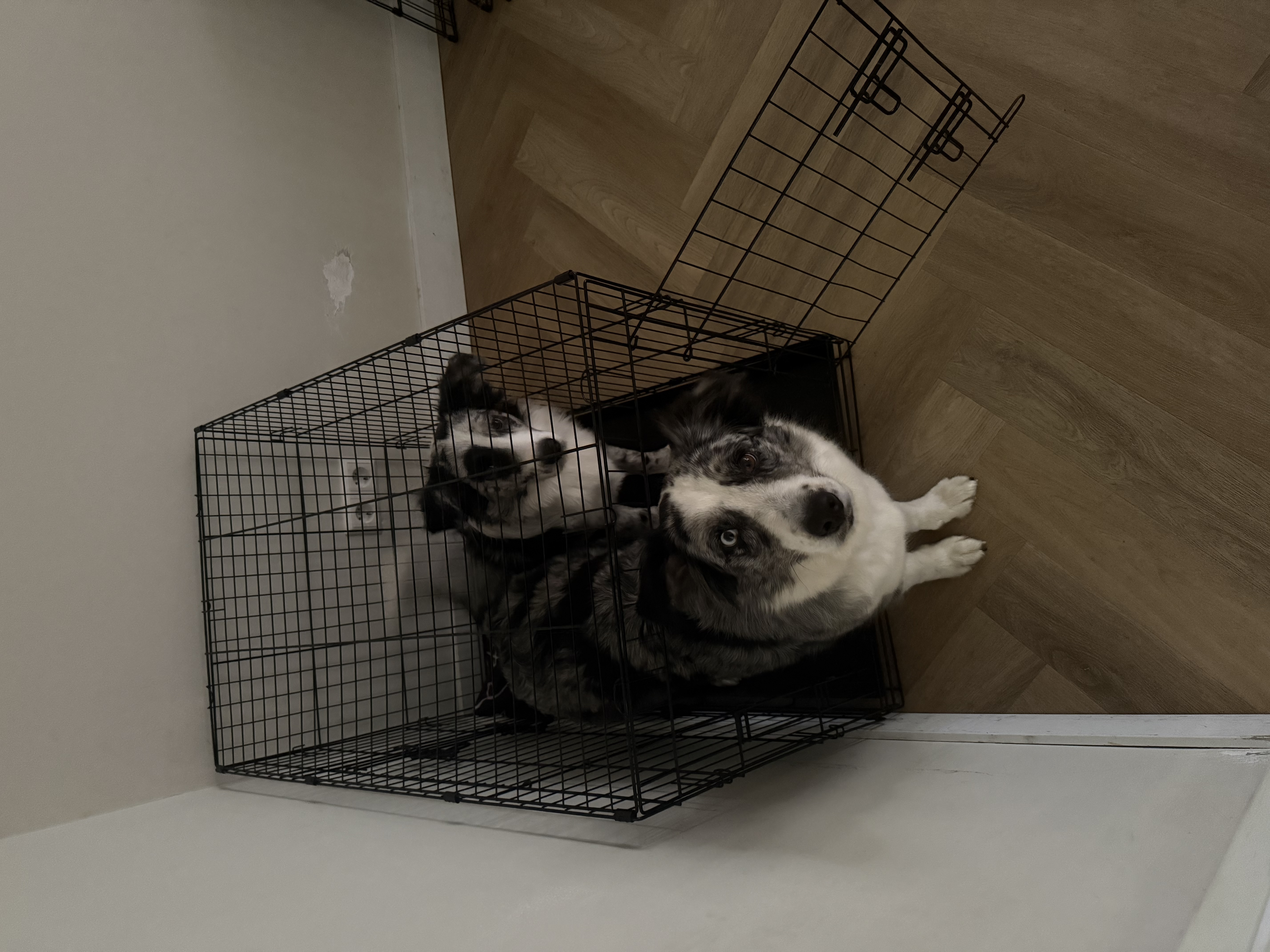 image-11