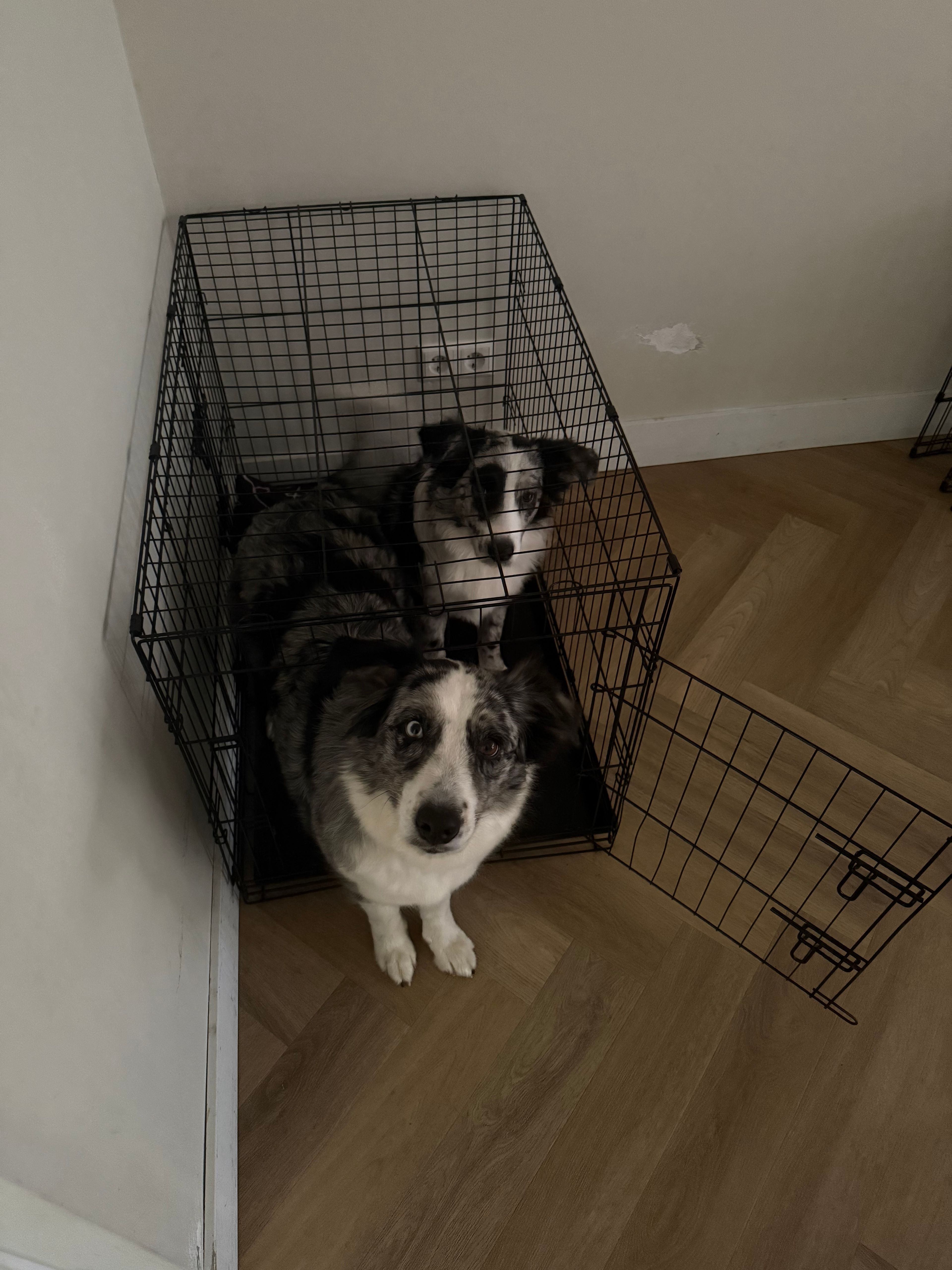 image-11